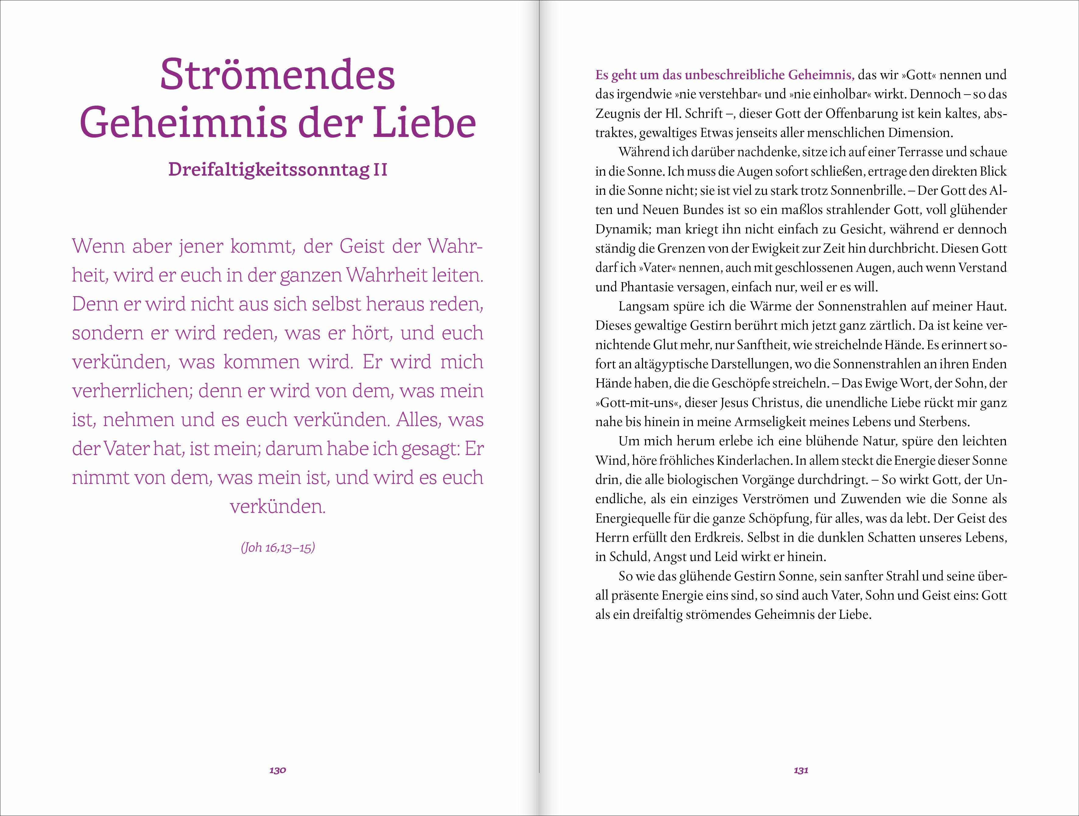 Beispielinhalt (Bild) Die Schießler-Bibel