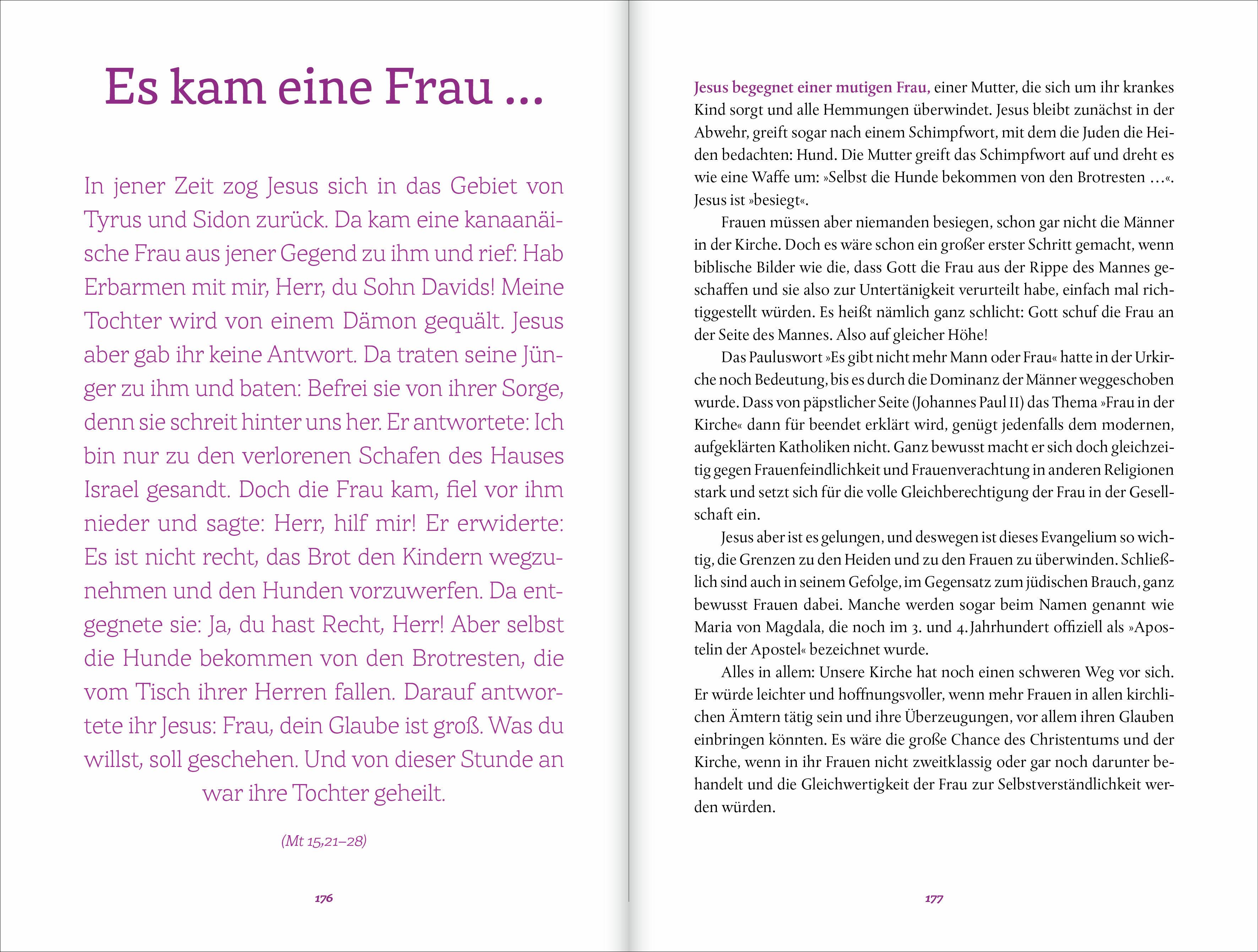 Beispielinhalt (Bild) Die Schießler-Bibel