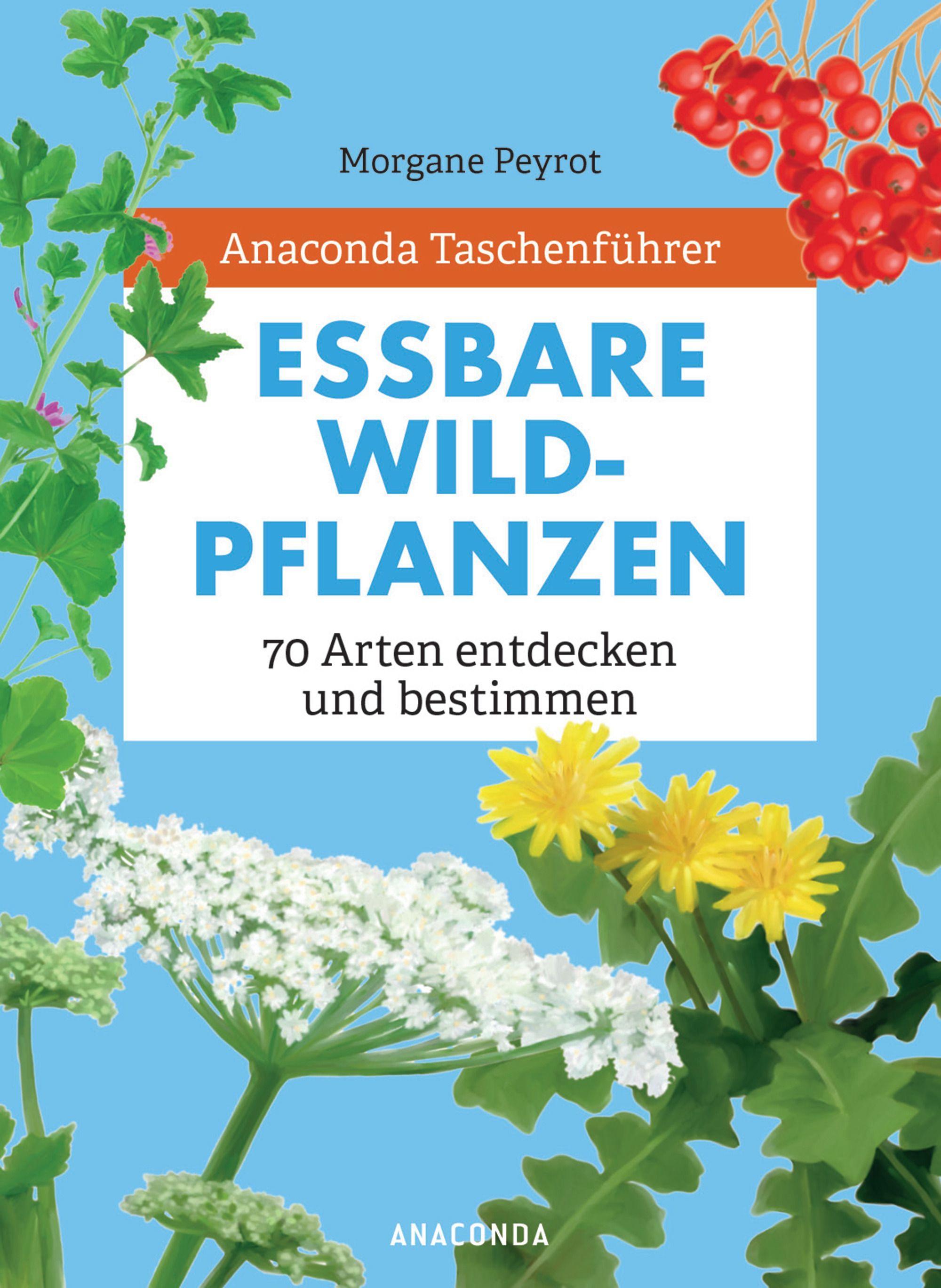 Vorderes Coverbild Anaconda Taschenführer Essbare Wildpflanzen. 70 Arten bestimmen und entdecken. -
