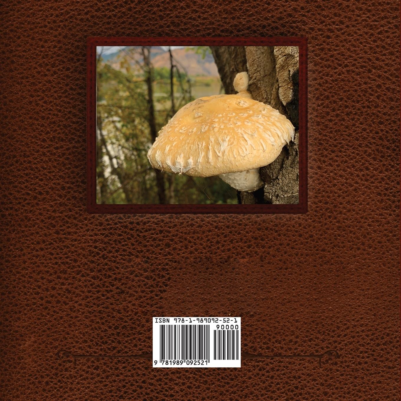 Rückseitencover Like Mushrooms