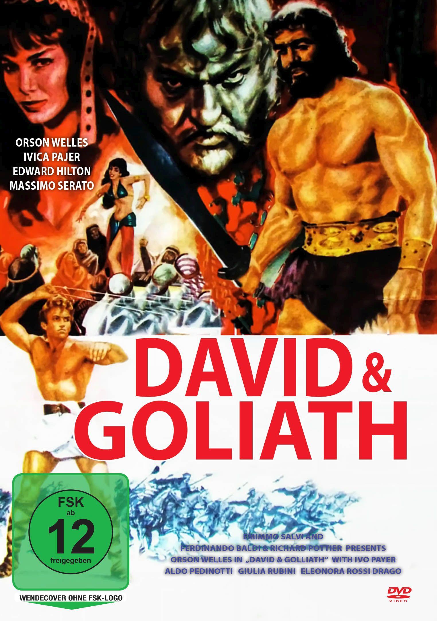 Vorderes Coverbild David & Goliath