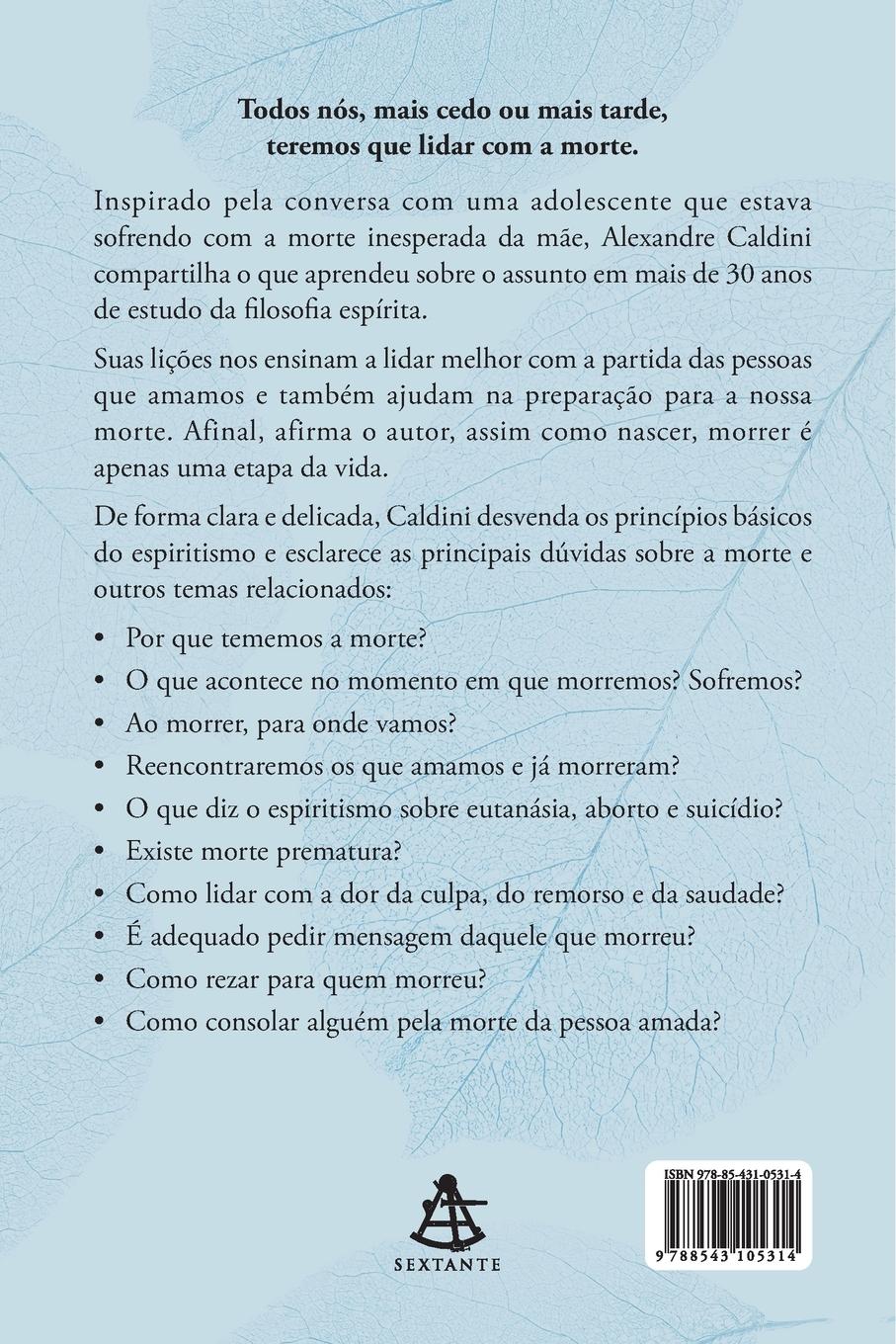 Rückseitencover A morte na visão do espiritismo