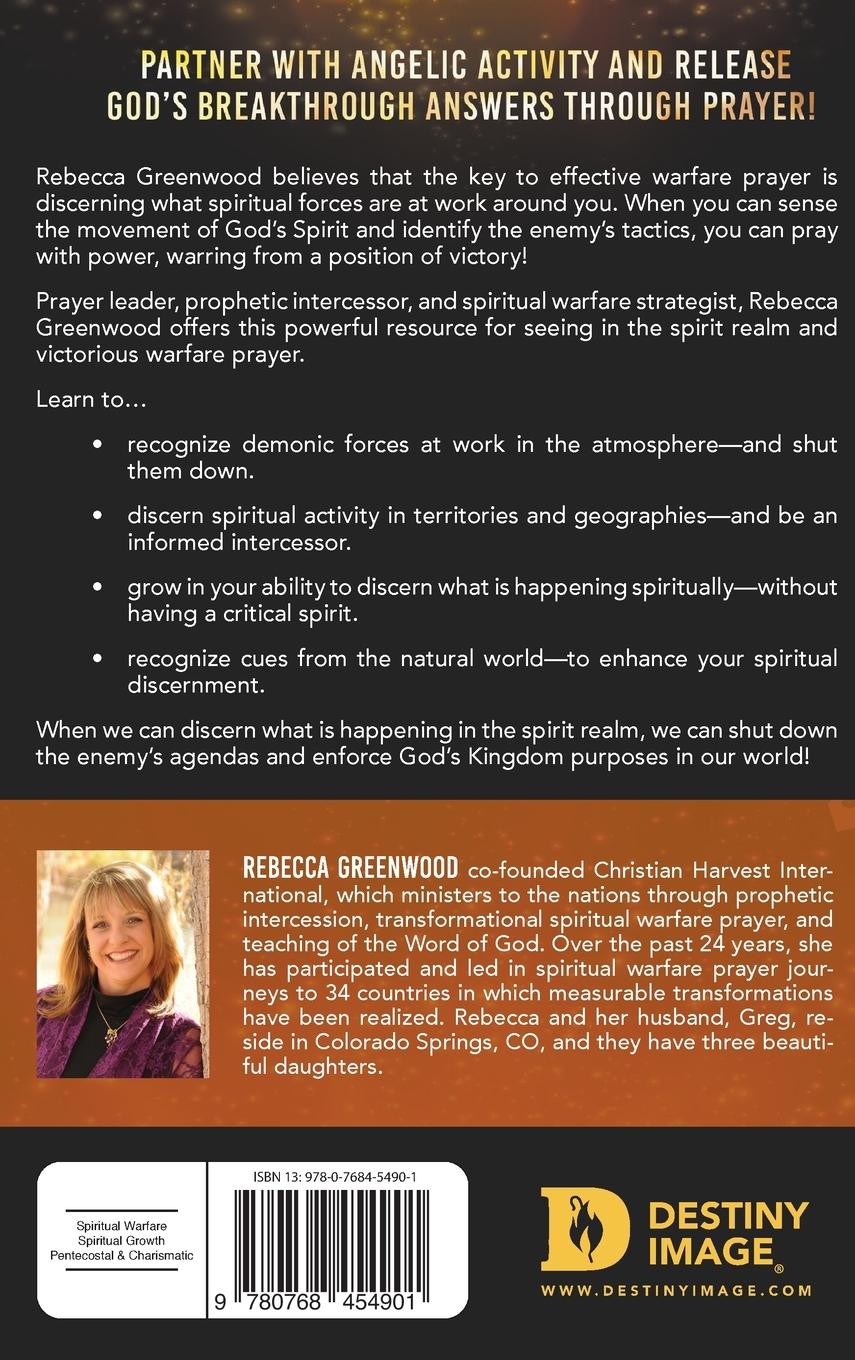 Rückseitencover Discerning the Spirit Realm