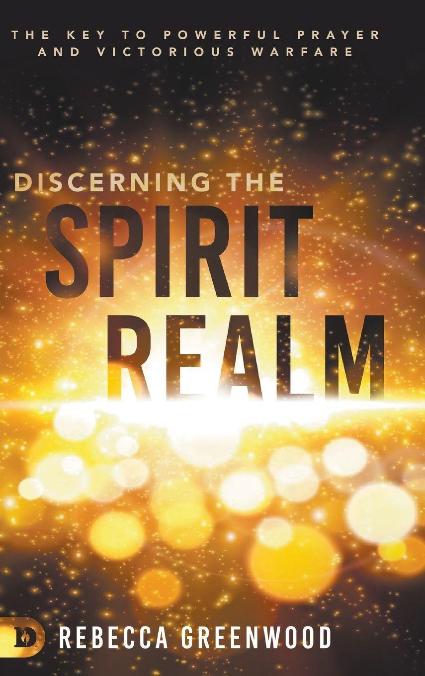 Vorderes Coverbild Discerning the Spirit Realm