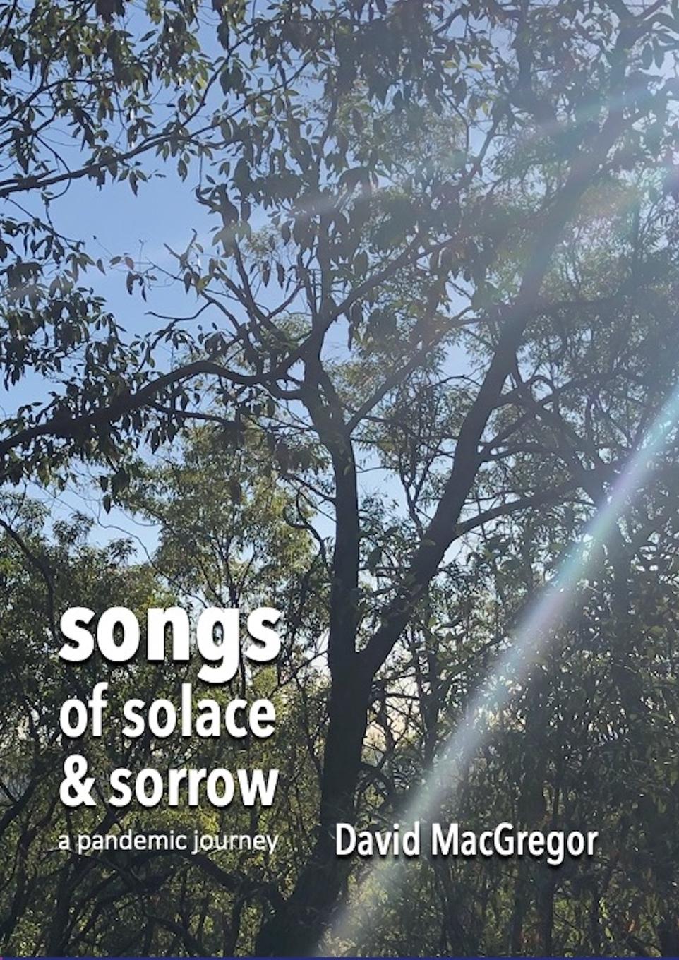 Vorderes Coverbild Songs of Solace and Sorrow