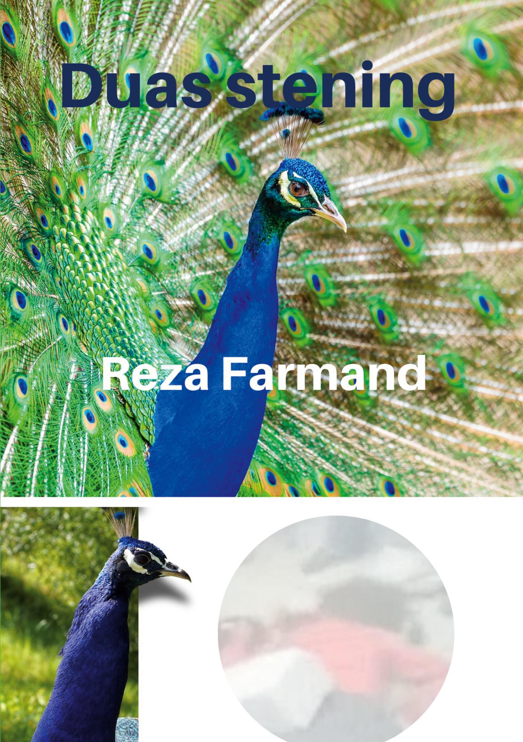 Vorderes Coverbild Duas stening