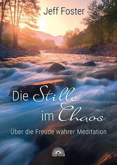 Vorderes Coverbild Die Stille im Chaos