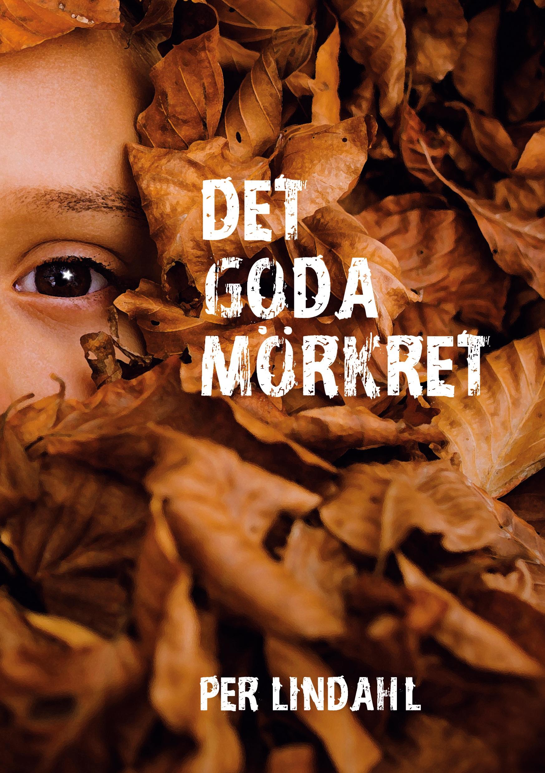 Vorderes Coverbild Det goda mörkret