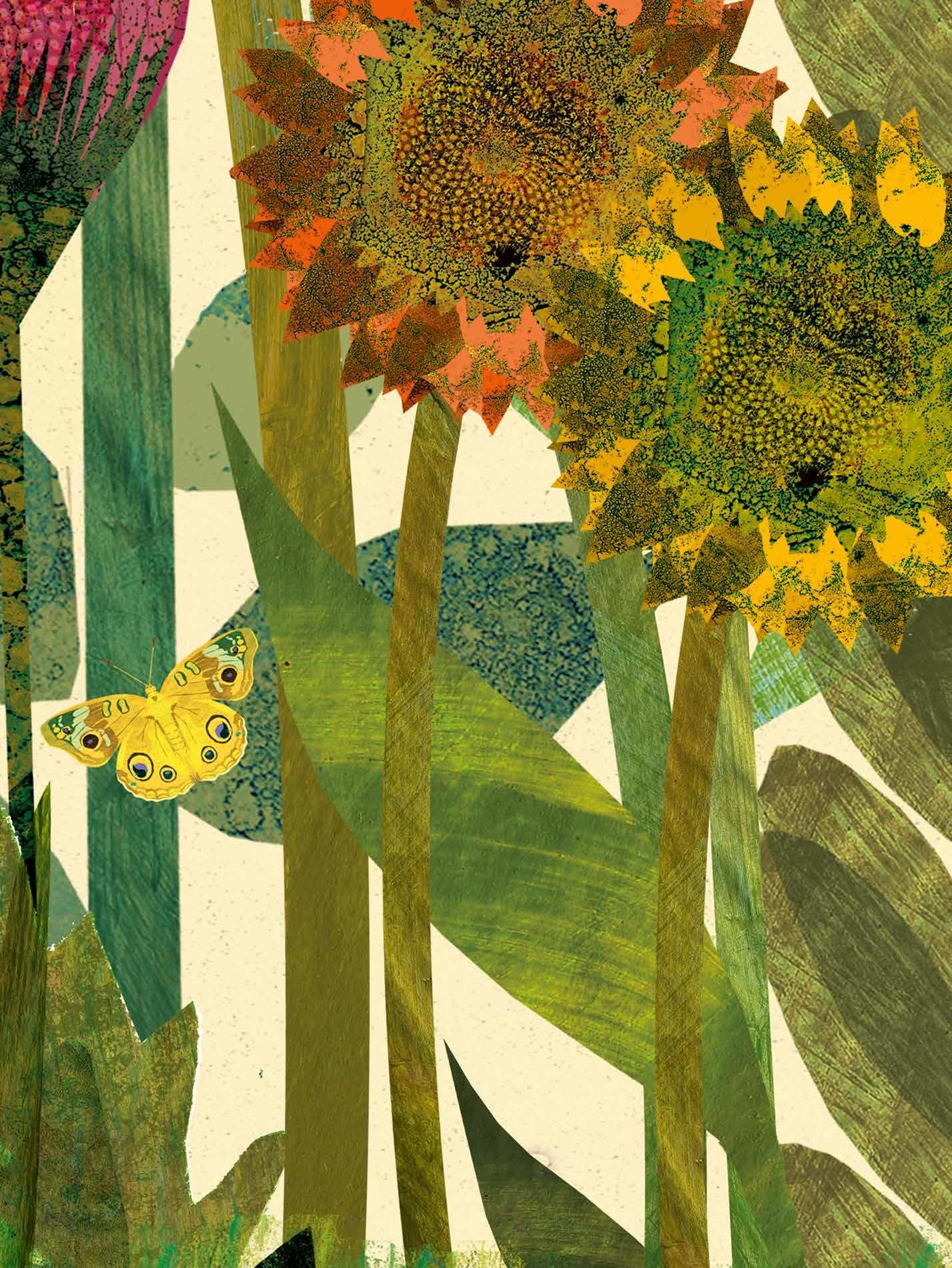 Beispielinhalt (Bild) Wunderbare Natur