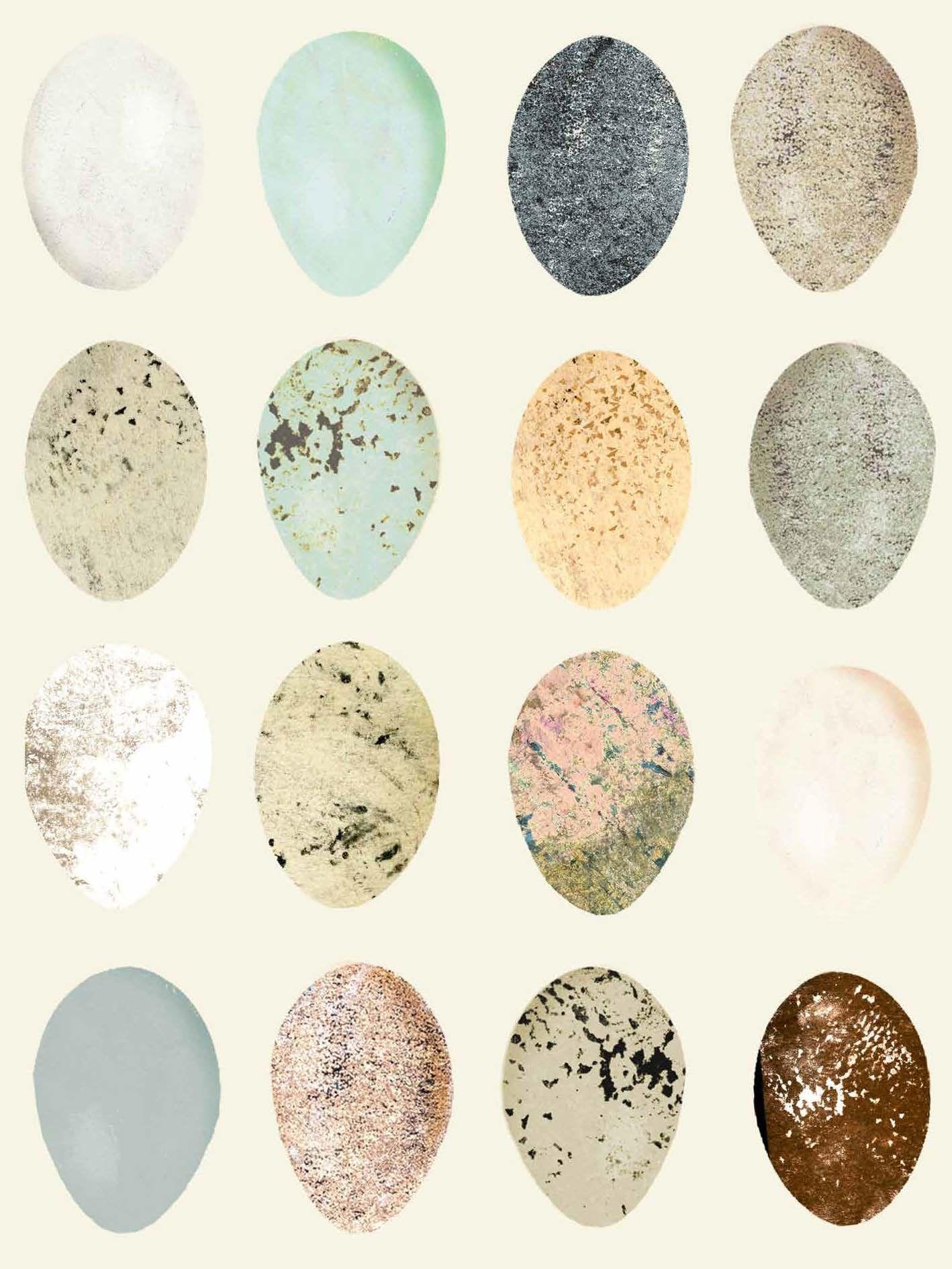 Beispielinhalt (Bild) Wunderbare Natur