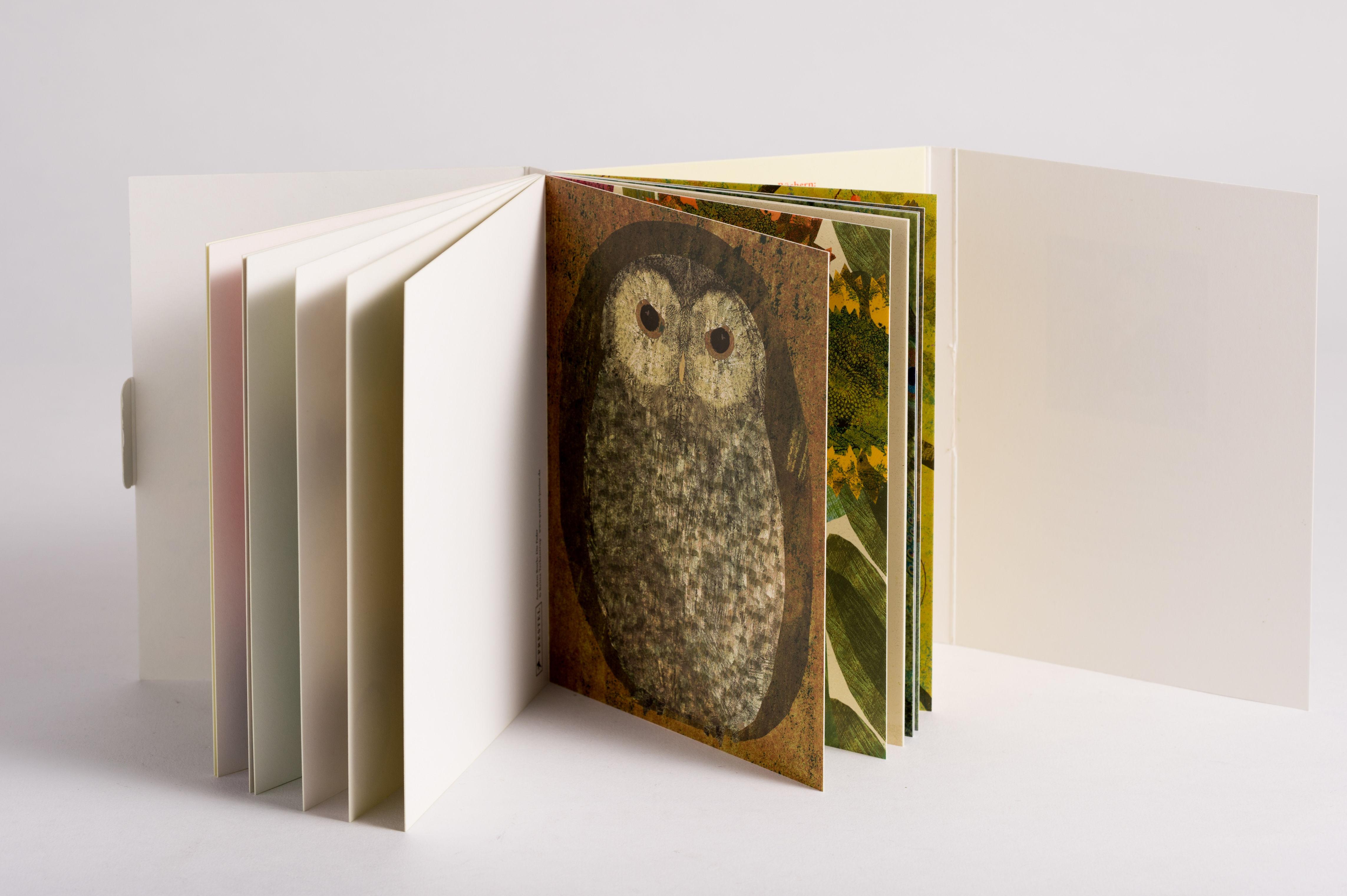 Beispielinhalt (Bild) Wunderbare Natur