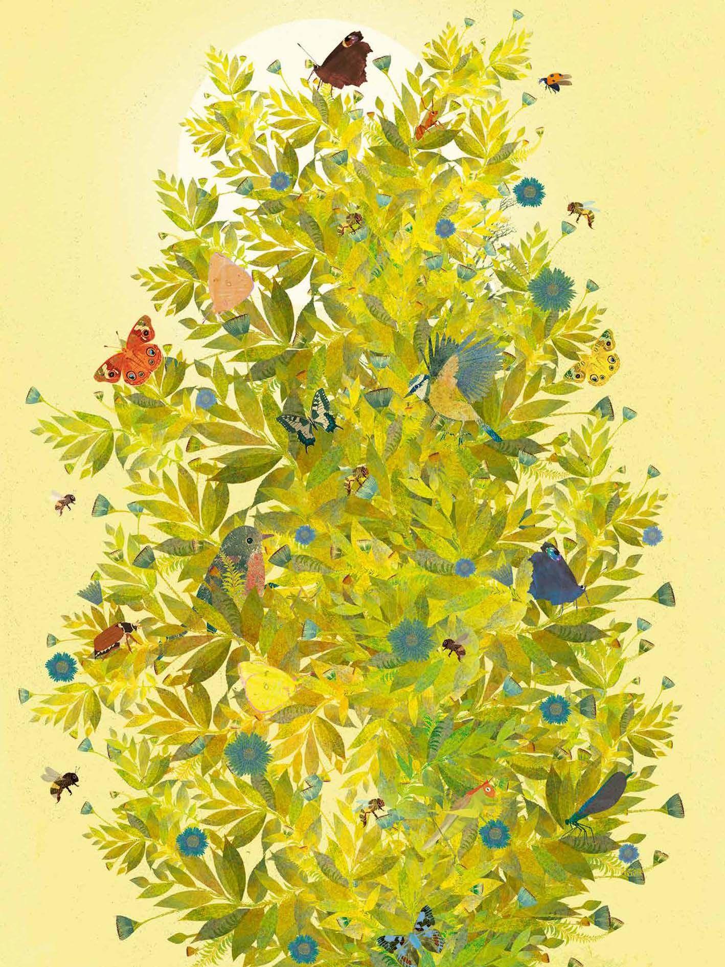 Beispielinhalt (Bild) Wunderbare Natur