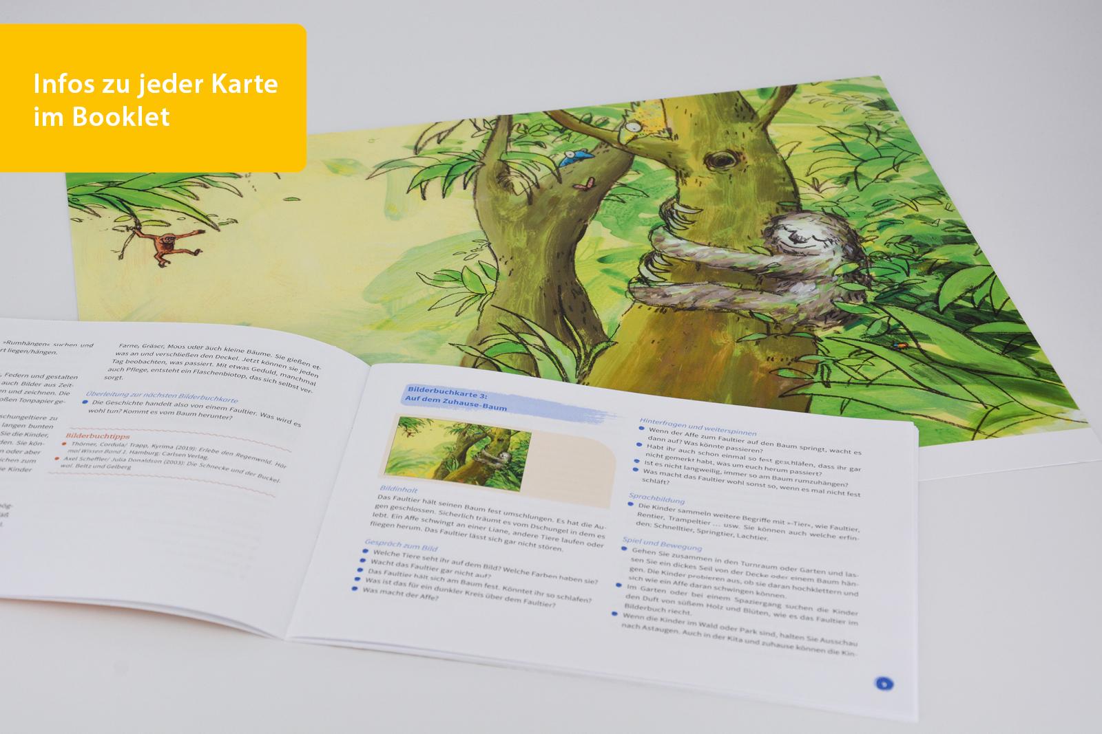 Beispielinhalt (Bild) Bilderbuchkarten »Als das Faultier mit seinem Baum verschwand« von Oliver Scherz und Katja Gehrmann