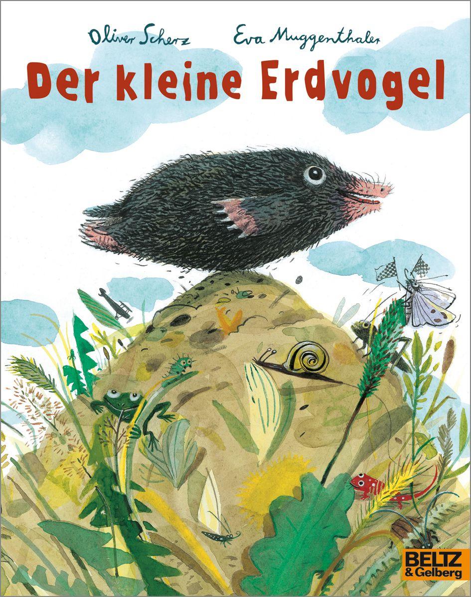 Vorderes Coverbild Der kleine Erdvogel