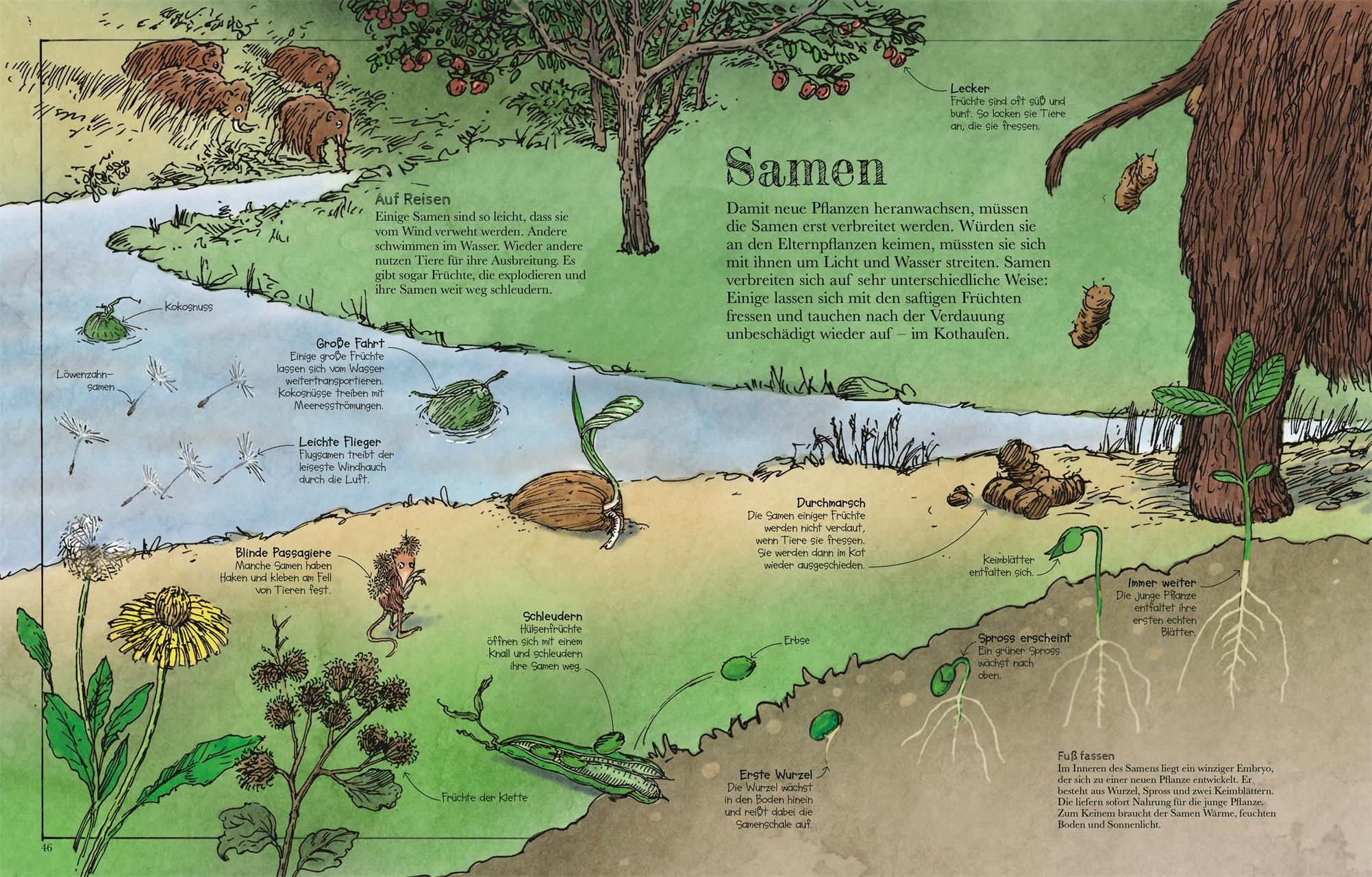Beispielinhalt (Bild) Das Mammut-Buch Naturwissenschaften