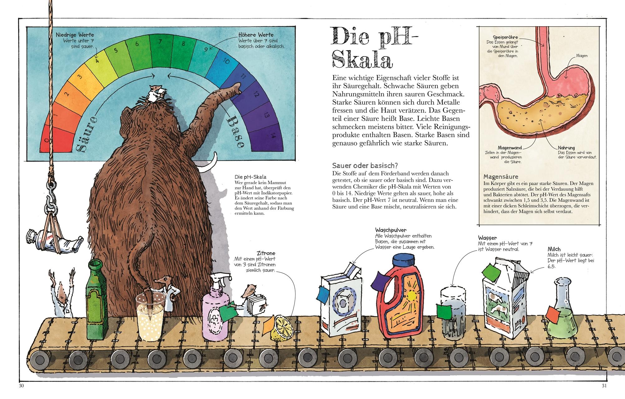 Beispielinhalt (Bild) Das Mammut-Buch Naturwissenschaften