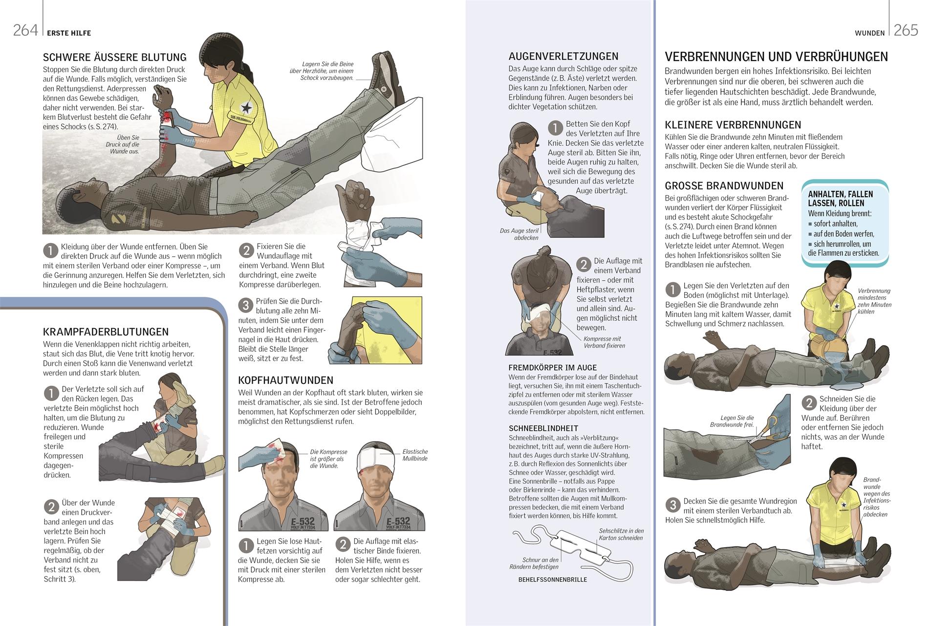 Beispielinhalt (Bild) Survival-Guide