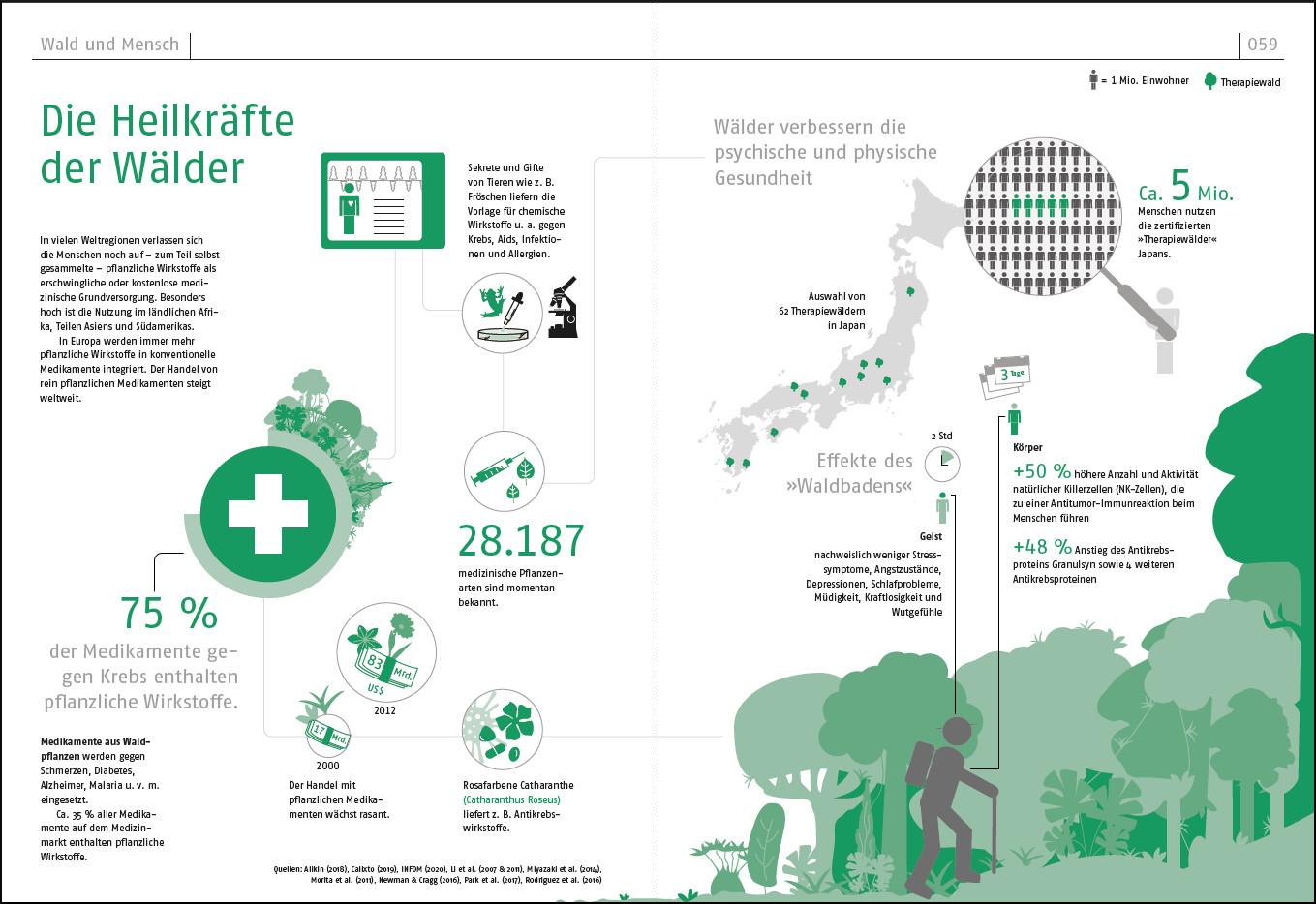 Beispielinhalt (Bild) Das Waldbuch