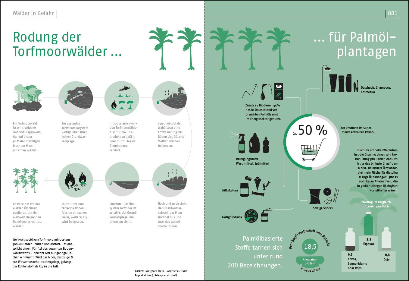 Beispielinhalt (Bild) Das Waldbuch