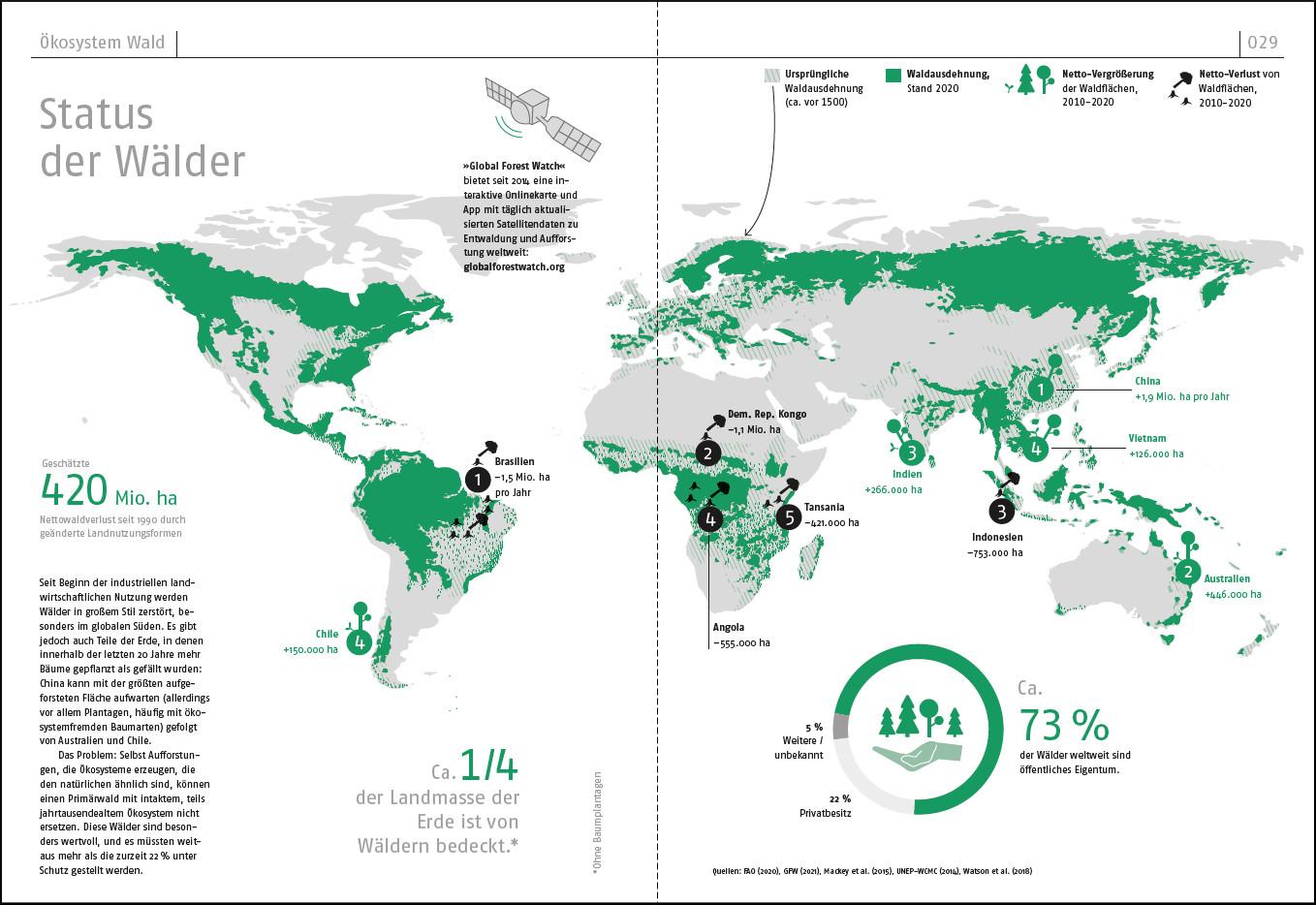 Beispielinhalt (Bild) Das Waldbuch