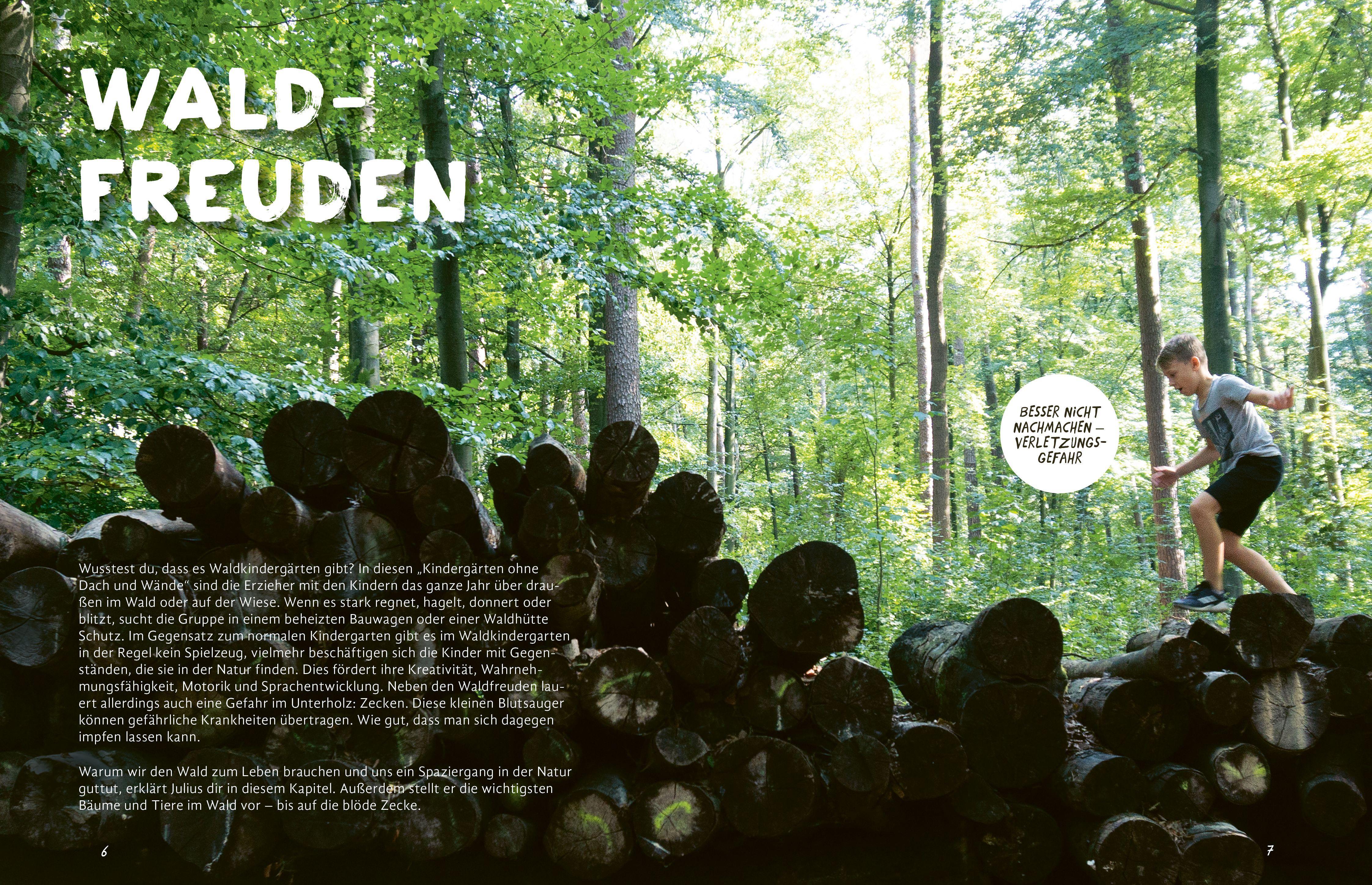 Beispielinhalt (Bild) Julius forscht - Im Wald