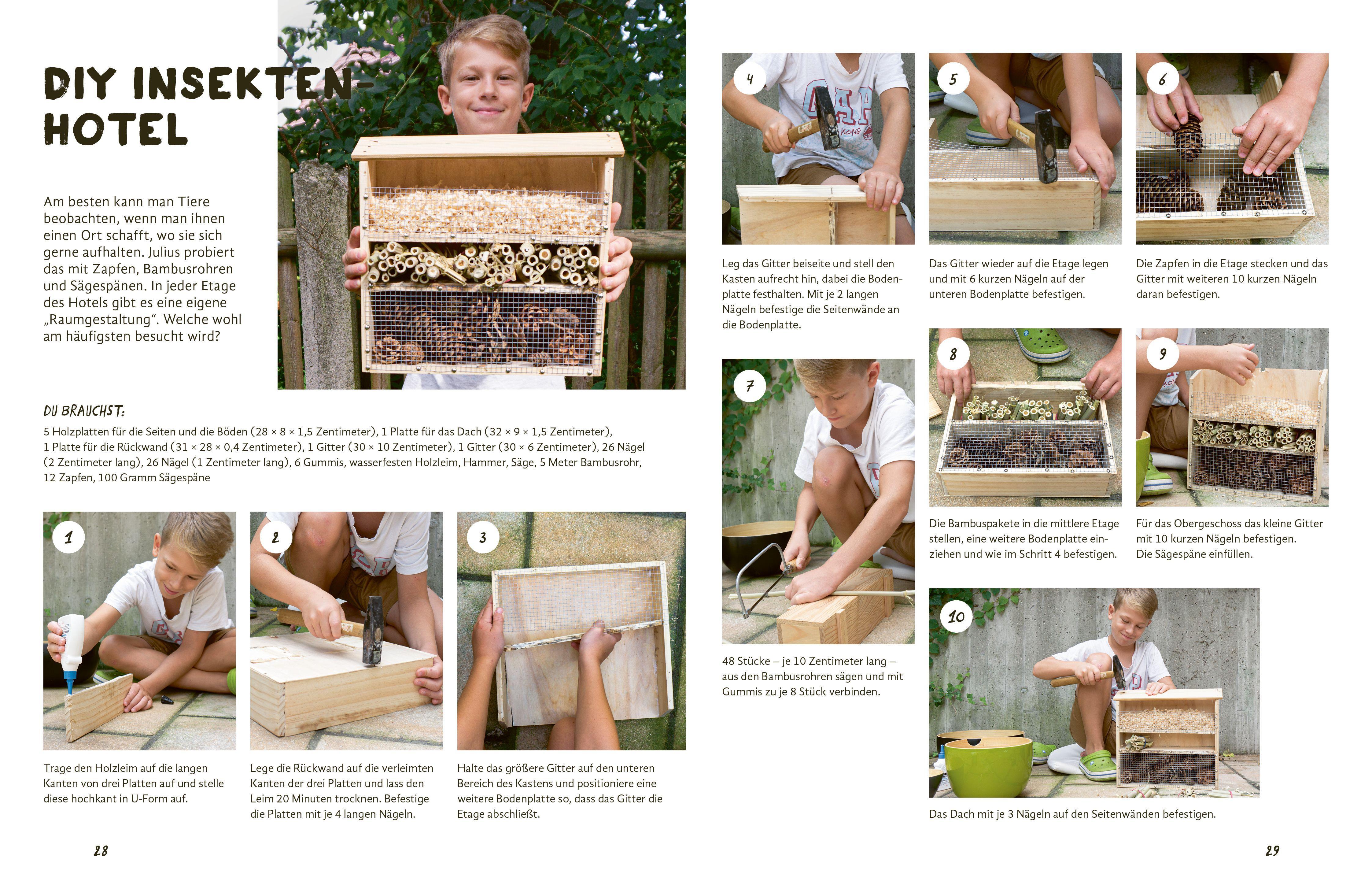 Beispielinhalt (Bild) Julius forscht - Im Wald