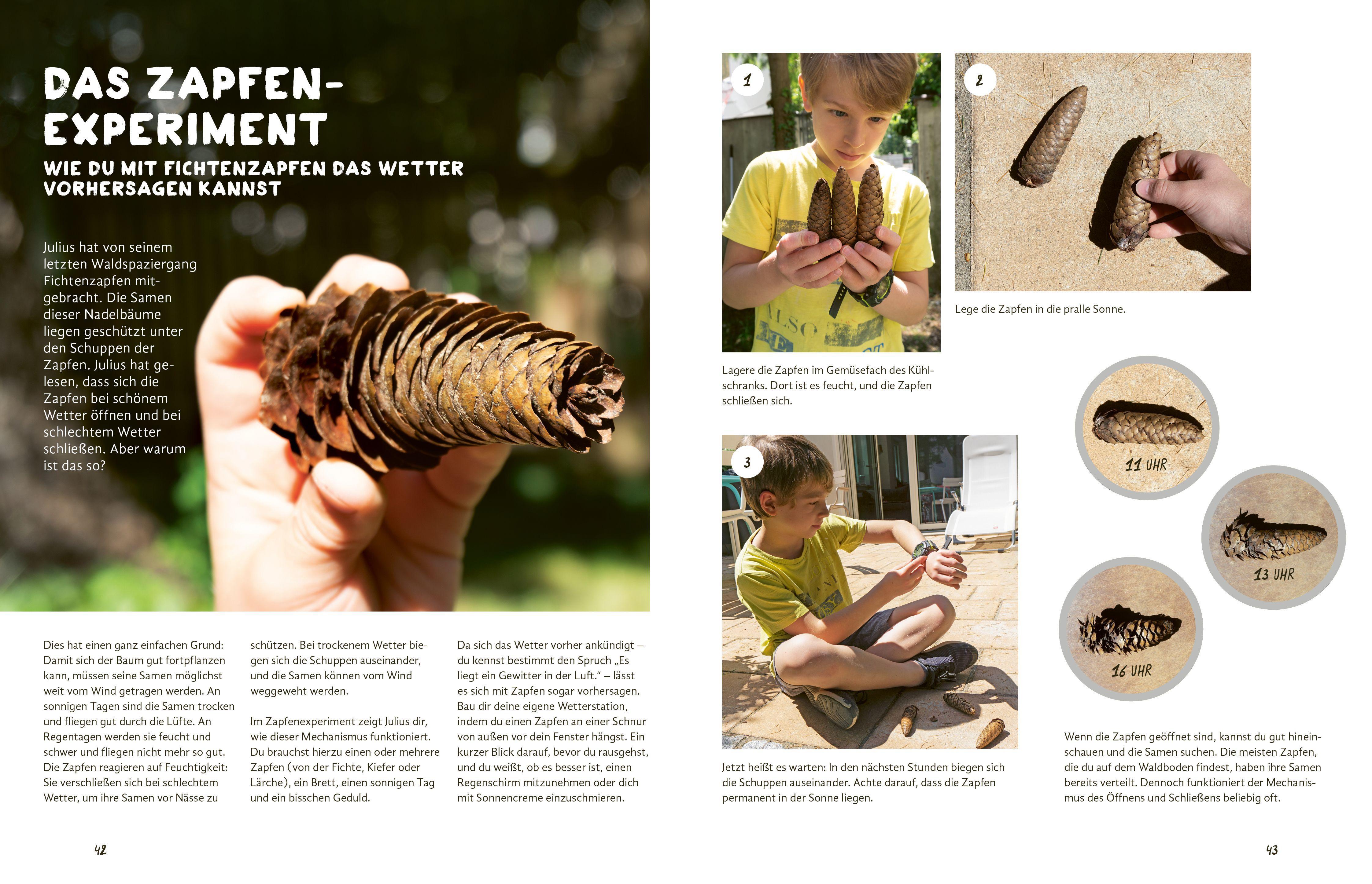 Beispielinhalt (Bild) Julius forscht - Im Wald