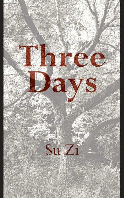 Vorderes Coverbild Three Days