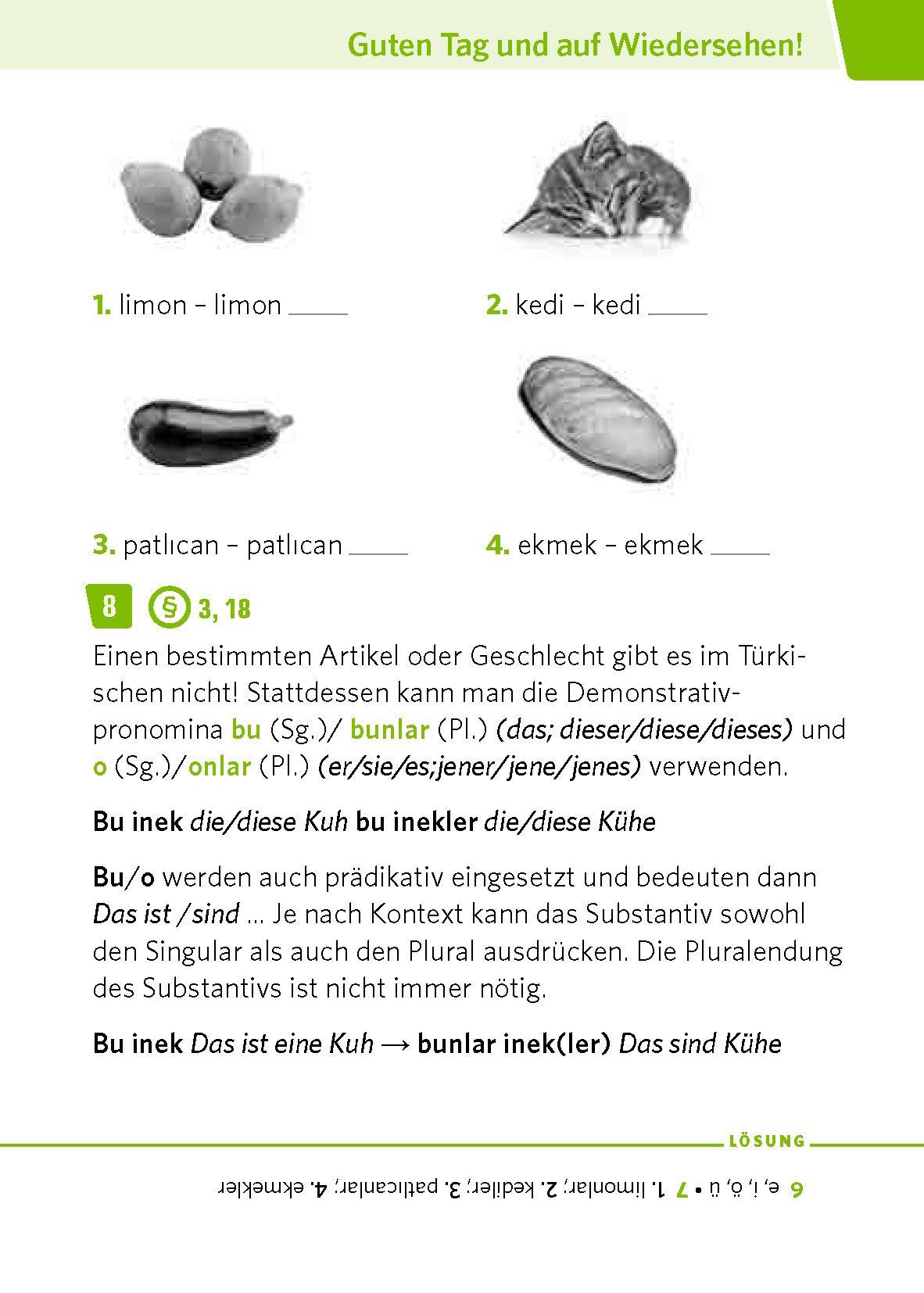 Beispielinhalt (Bild) PONS Pocket-Sprachkurs Türkisch