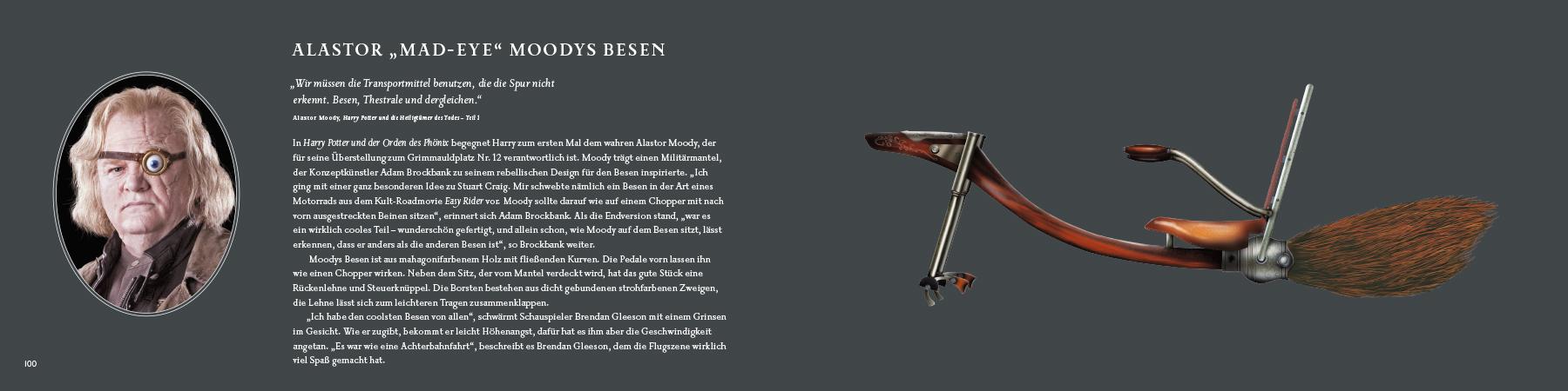 Beispielinhalt (Bild) Harry Potter: Das Buch der magischen Besen