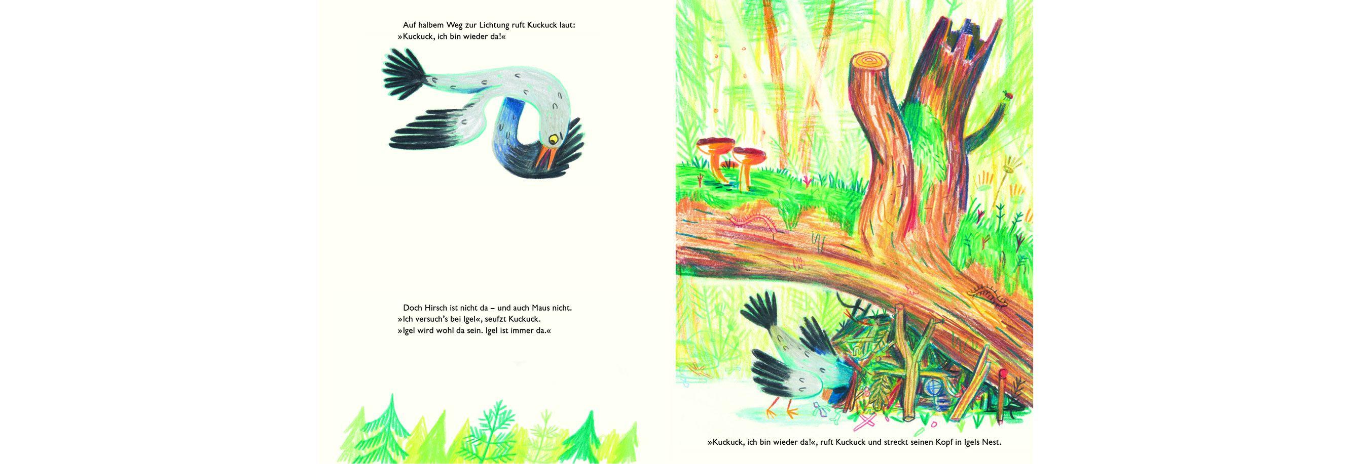 Beispielinhalt (Bild) Kuckuck, ich bin wieder da!