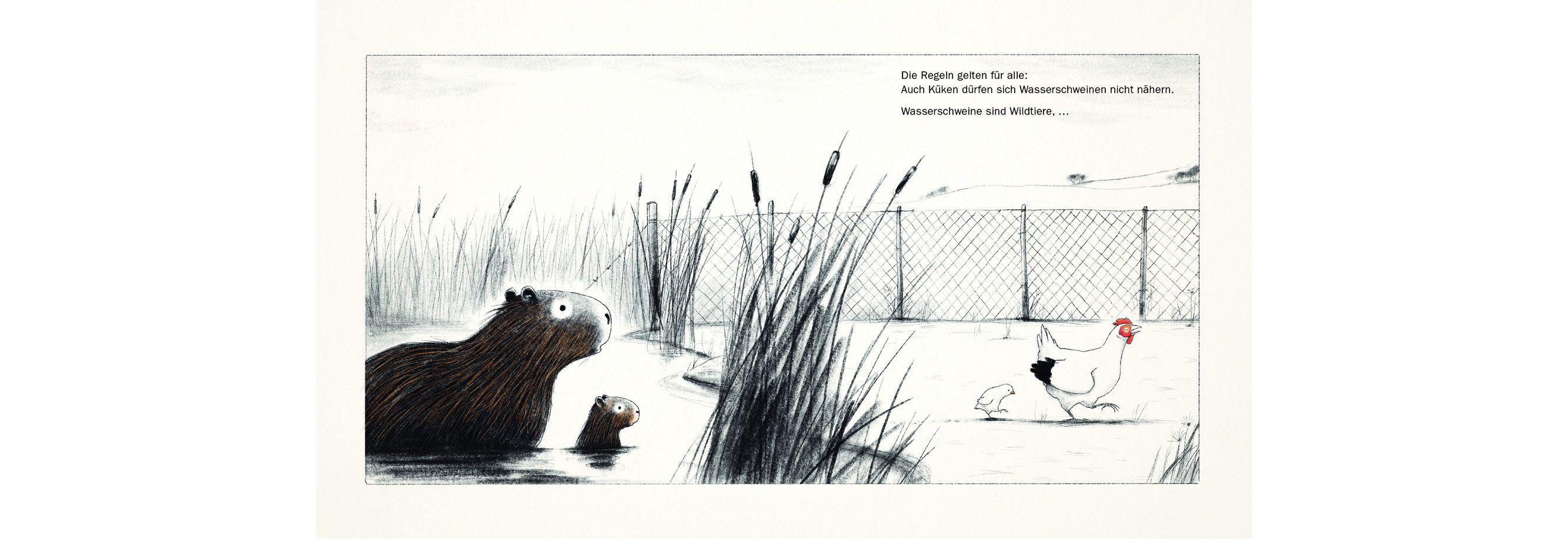 Beispielinhalt (Bild) Die Wasserschweine im Hühnerhof