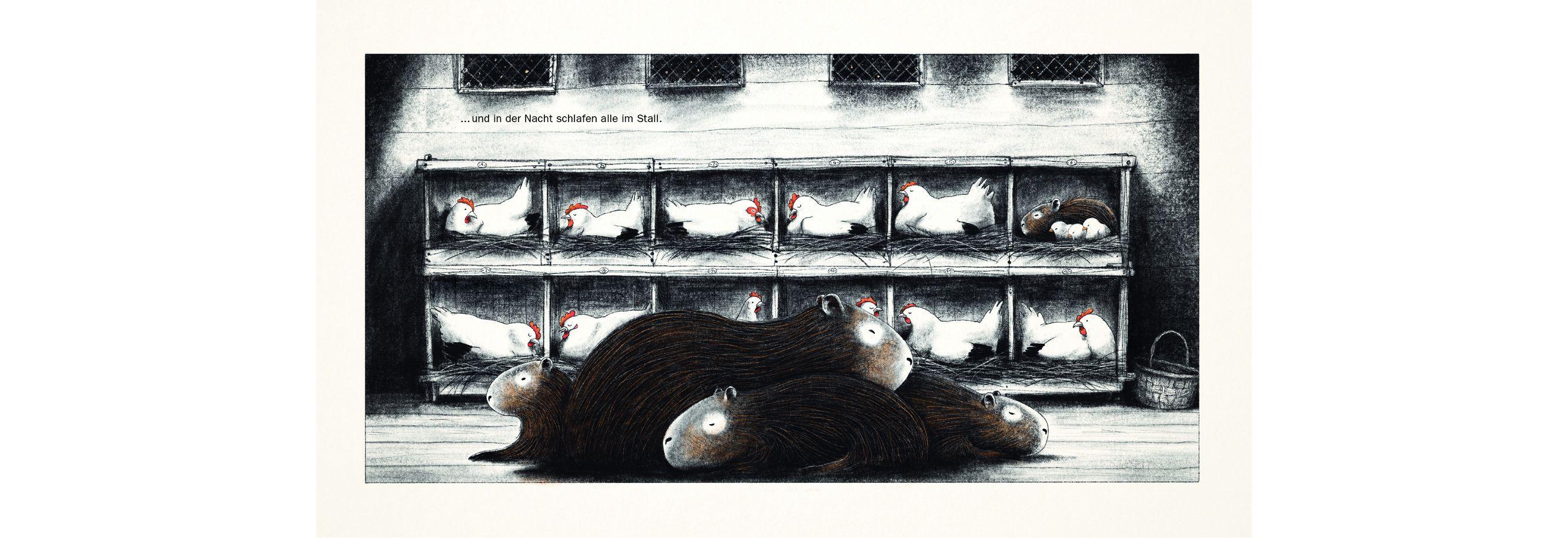 Beispielinhalt (Bild) Die Wasserschweine im Hühnerhof