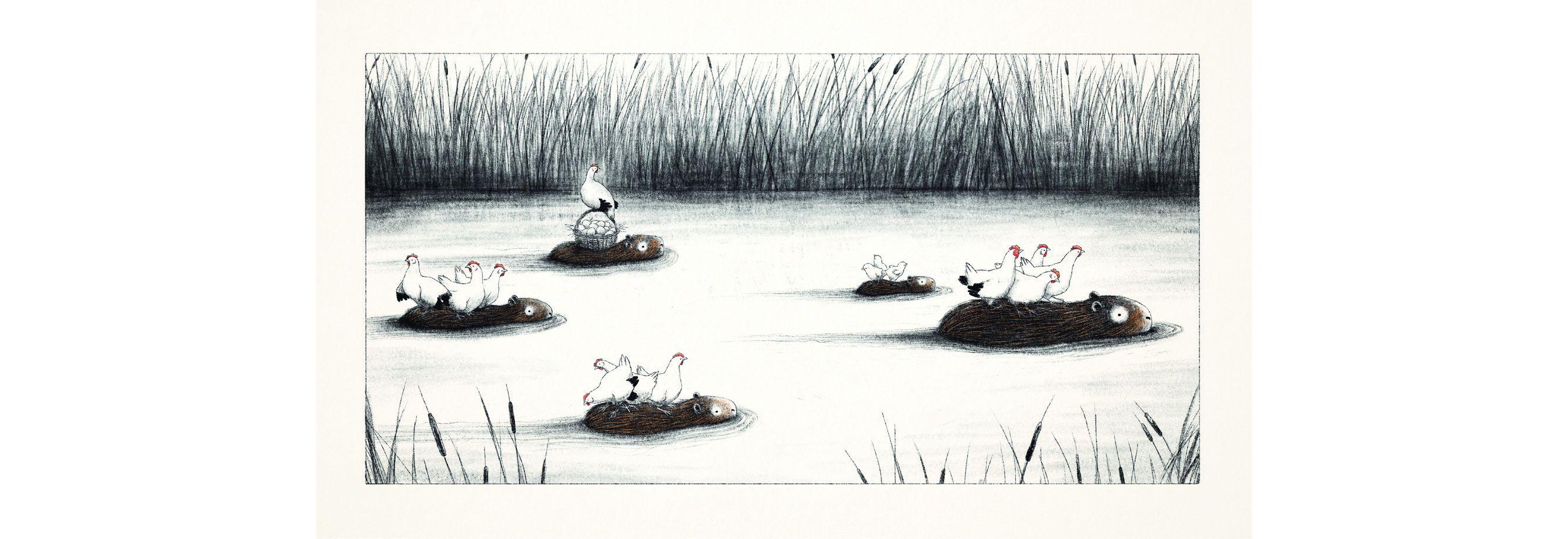 Beispielinhalt (Bild) Die Wasserschweine im Hühnerhof