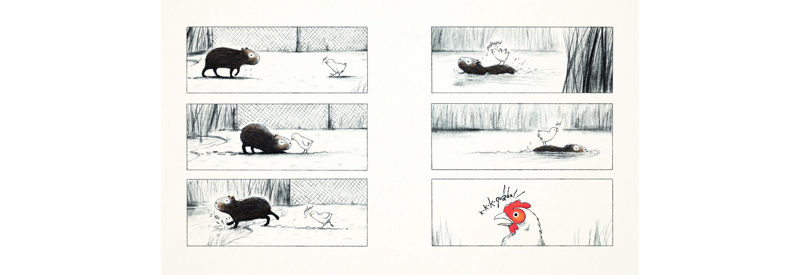 Beispielinhalt (Bild) Die Wasserschweine im Hühnerhof