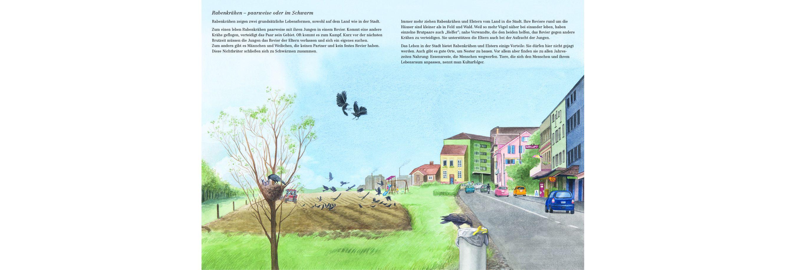 Beispielinhalt (Bild) Schlau, schwarz und kunterbunt