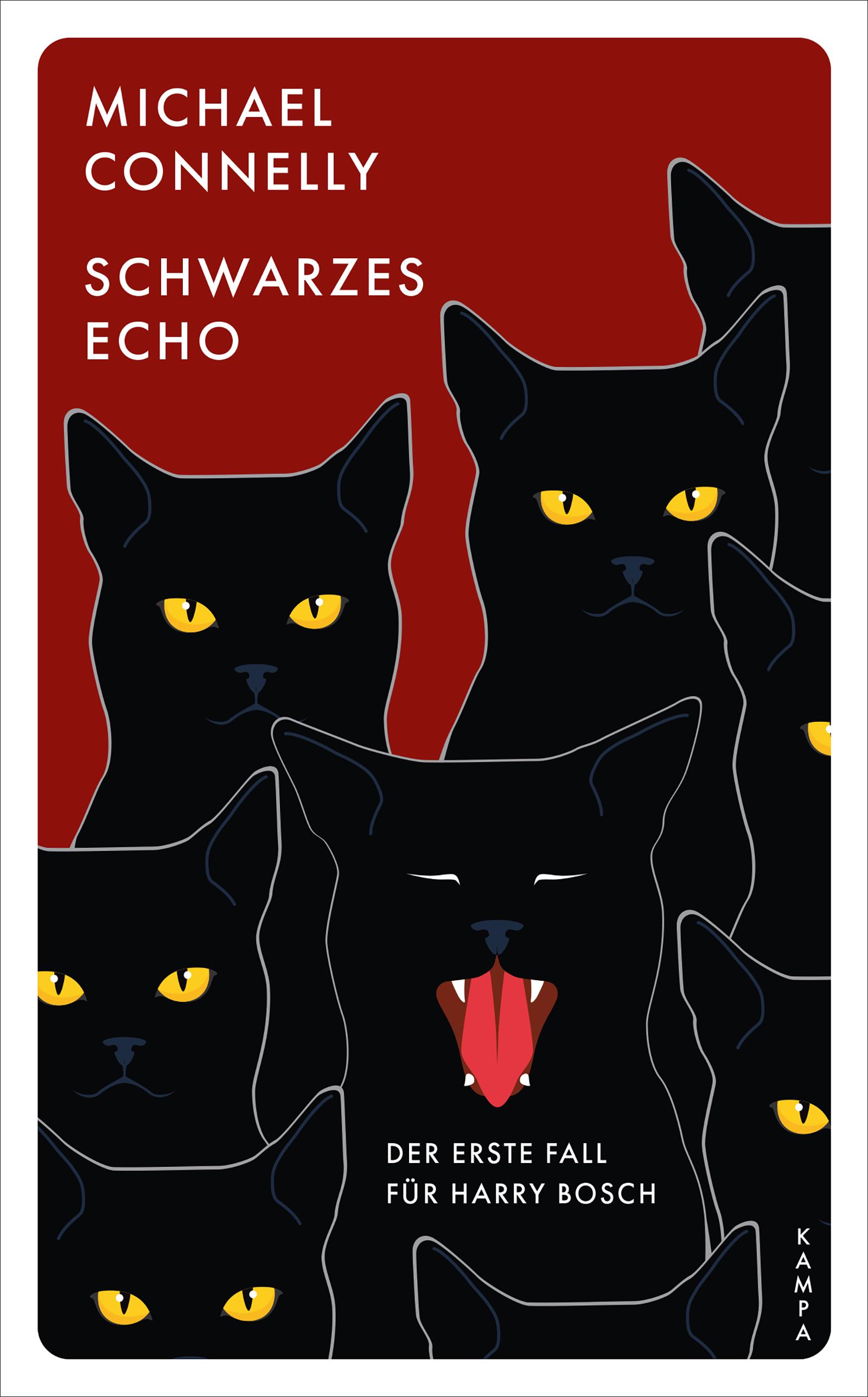 Vorderes Coverbild Schwarzes Echo