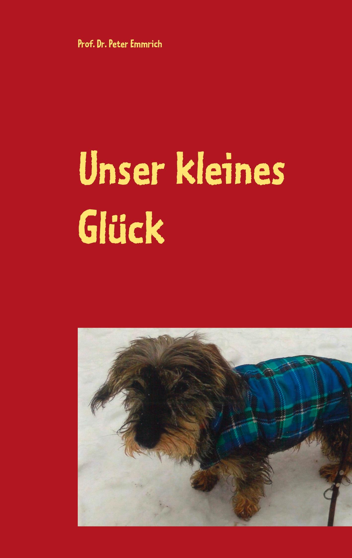 Vorderes Coverbild Unser kleines Glück