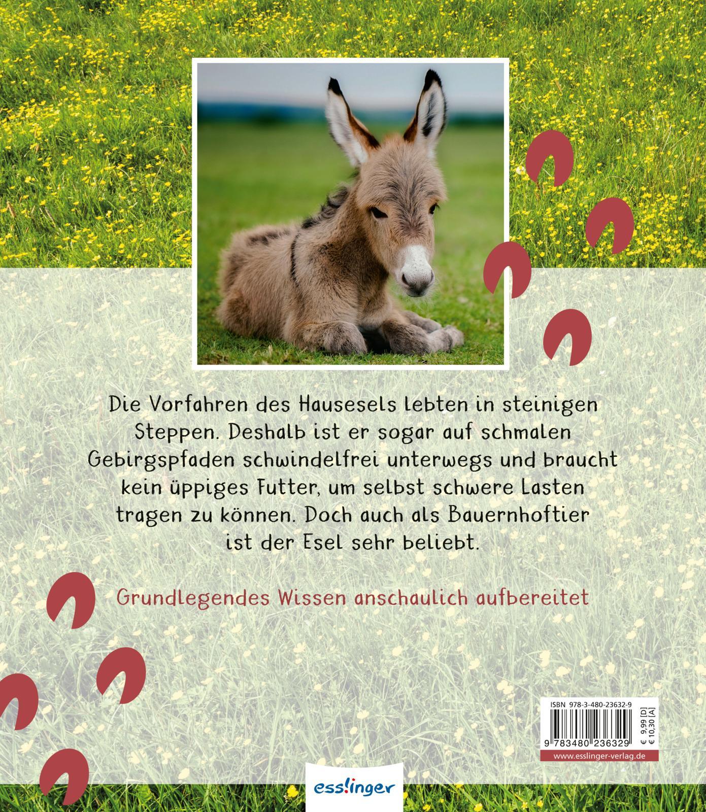 Rückseitencover Meine große Tierbibliothek: Der Esel