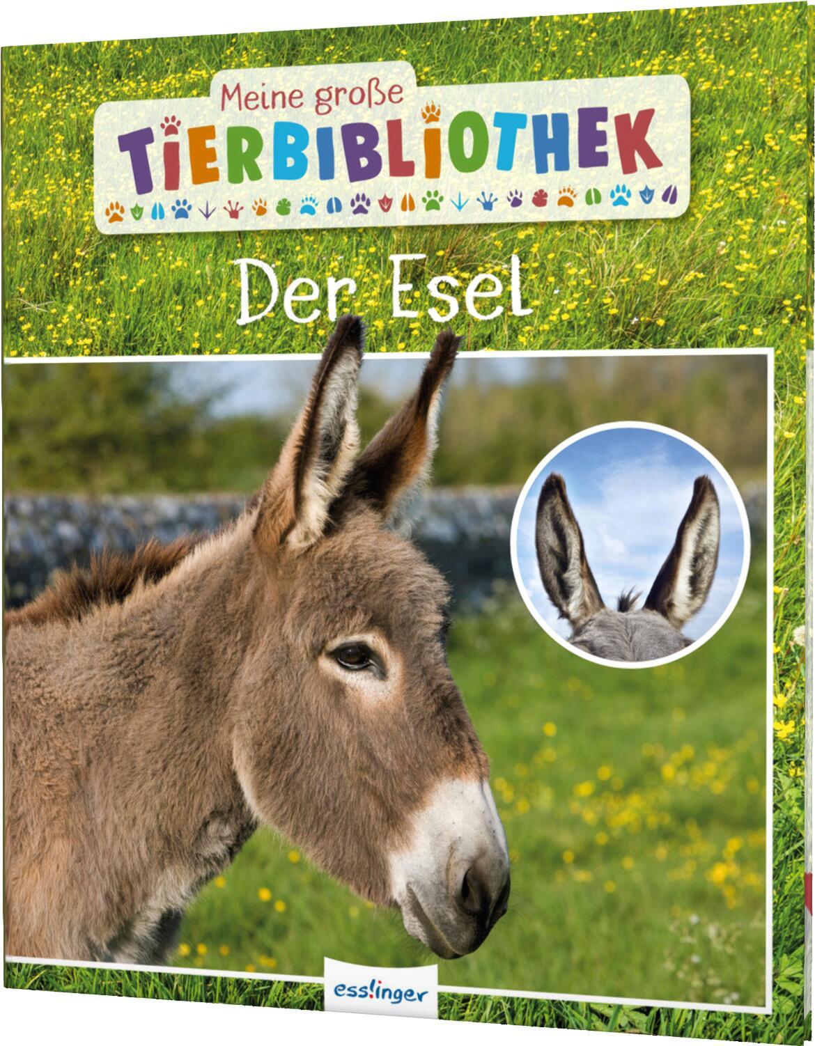 Vorderes Coverbild Meine große Tierbibliothek: Der Esel