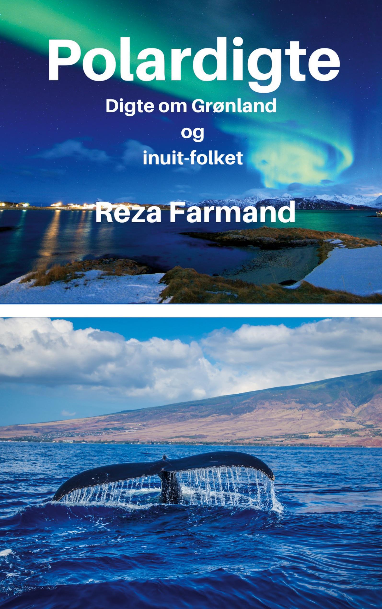 Vorderes Coverbild Polardigte