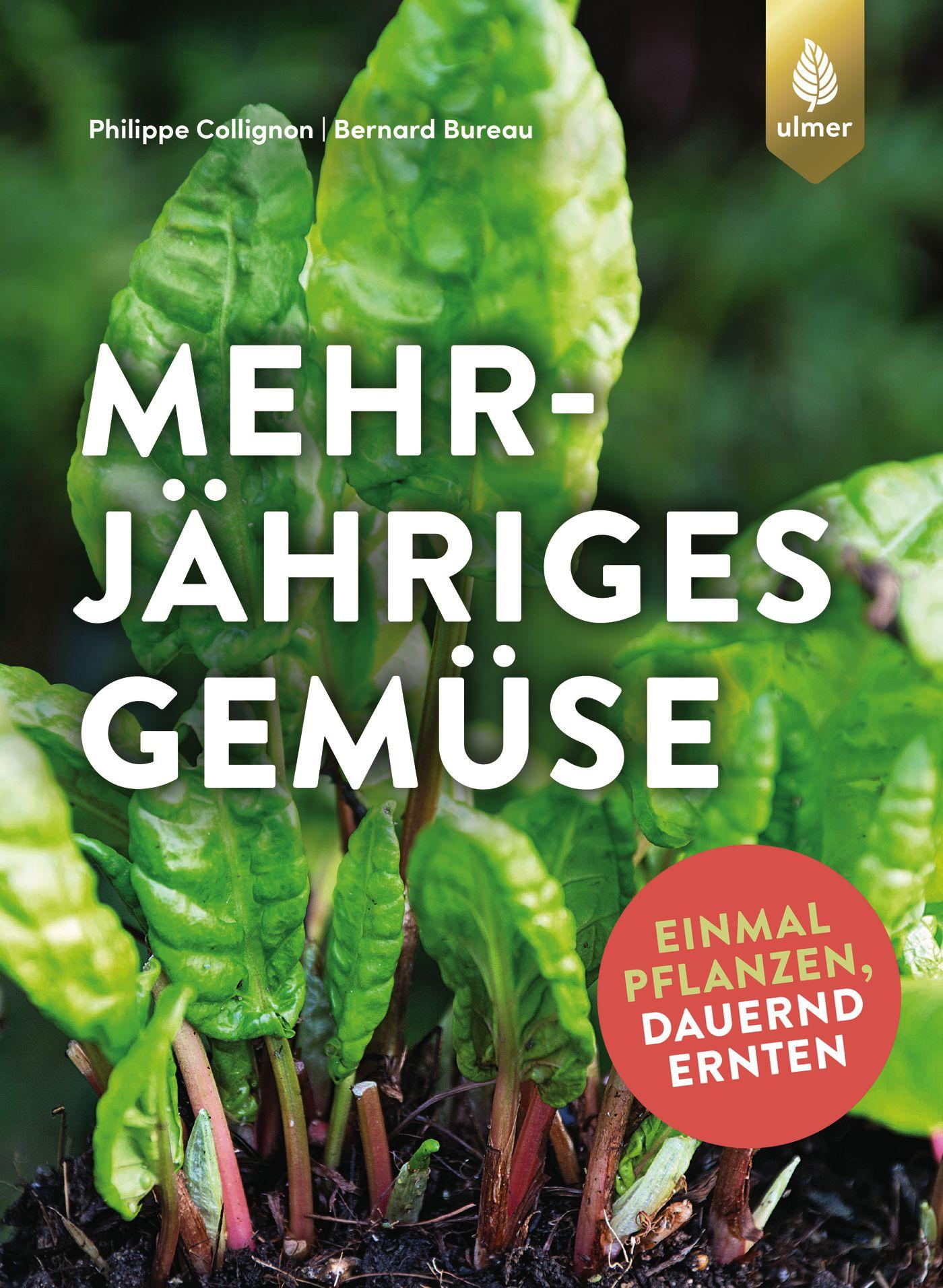 Vorderes Coverbild Mehrjähriges Gemüse
