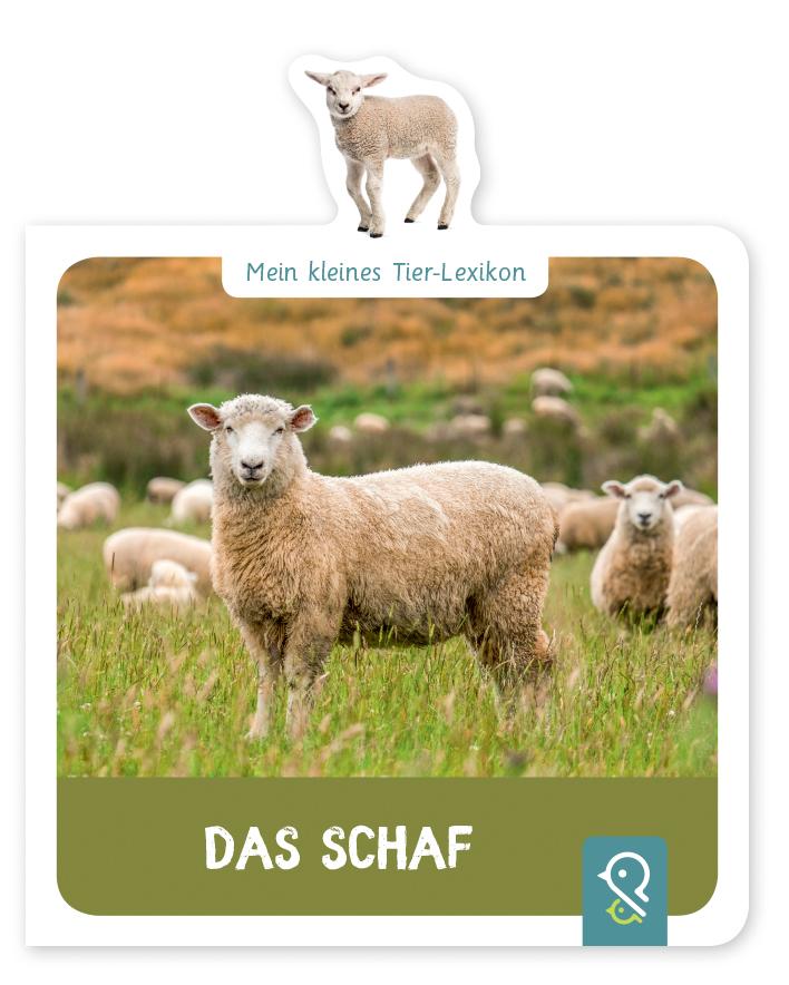 Vorderes Coverbild Mein kleines Tier-Lexikon - Das Schaf