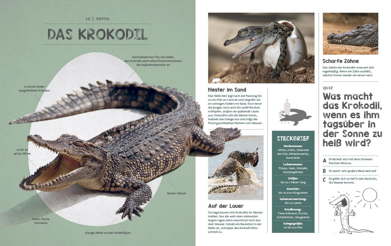 Beispielinhalt (Bild) Wer ist da aus dem Ei geschlüpft?