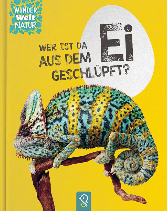 Vorderes Coverbild Wer ist da aus dem Ei geschlüpft?