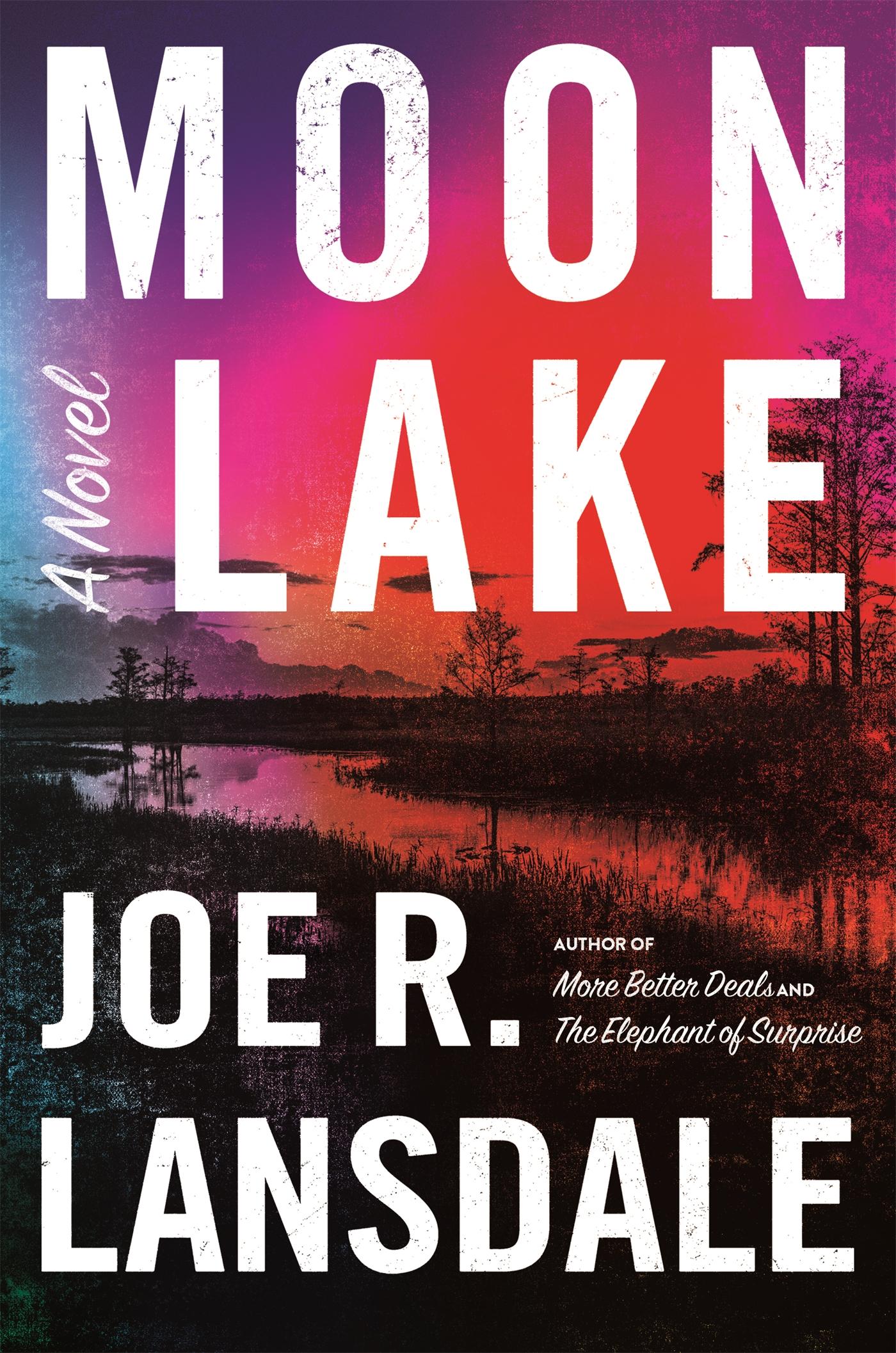 Vorderes Coverbild Moon Lake