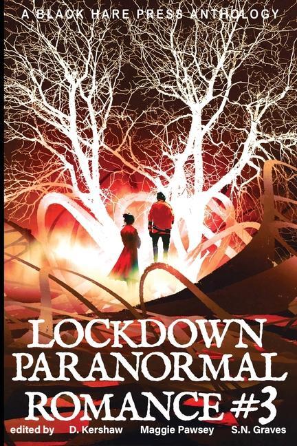 Vorderes Coverbild LOCKDOWN paranormal Romance #3