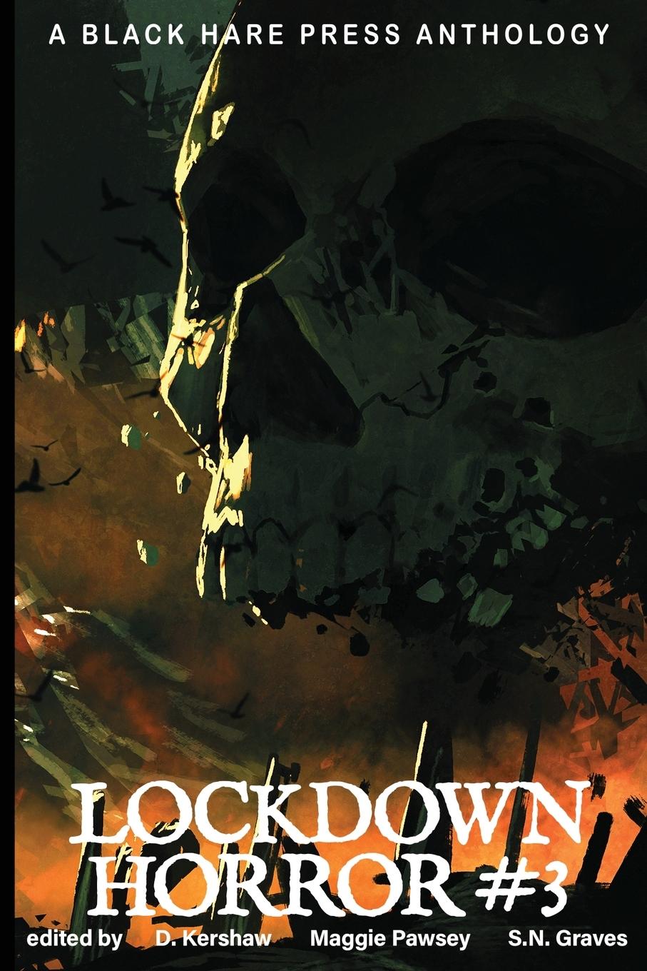 Vorderes Coverbild Lockdown Horror #3