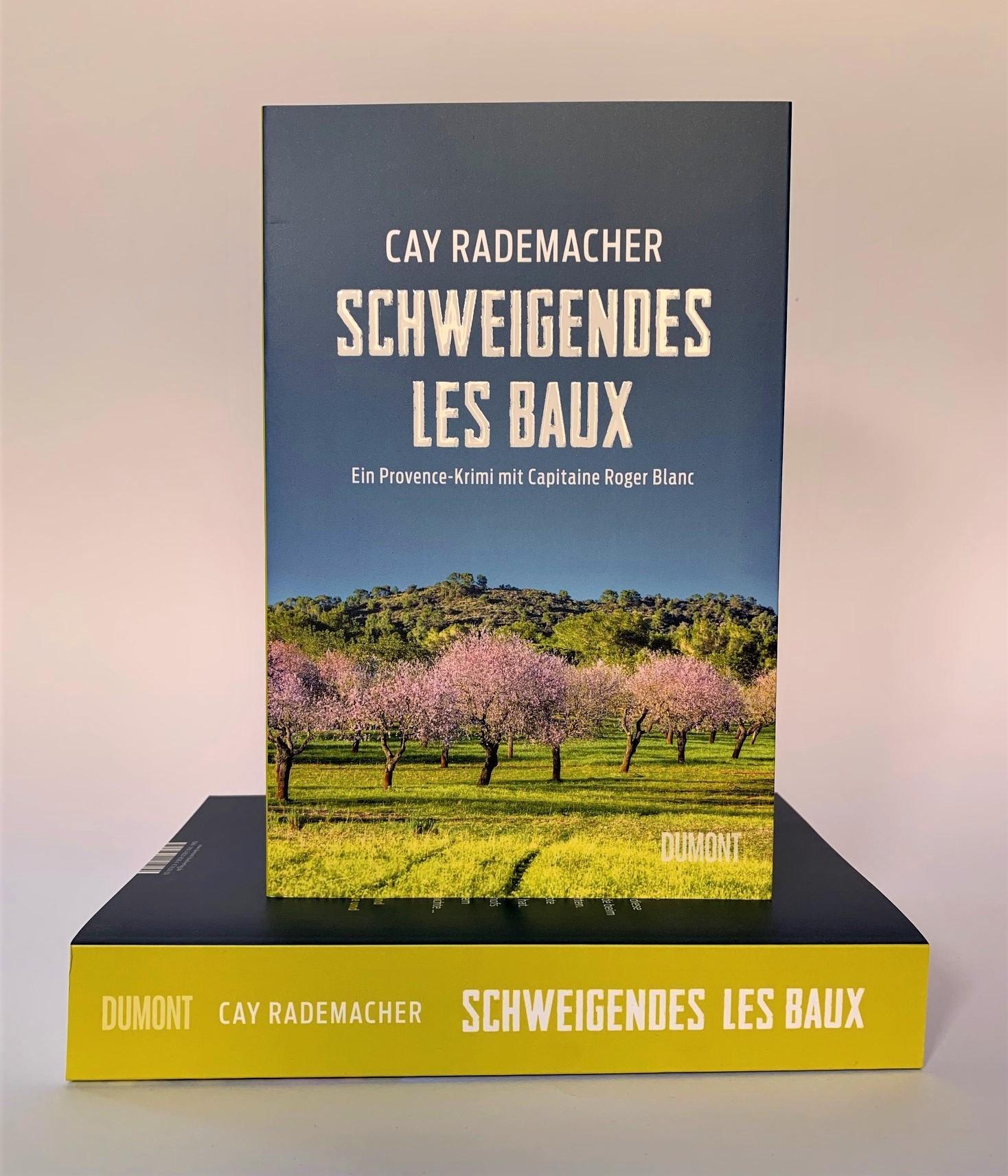Beispielinhalt (Bild) Schweigendes Les Baux
