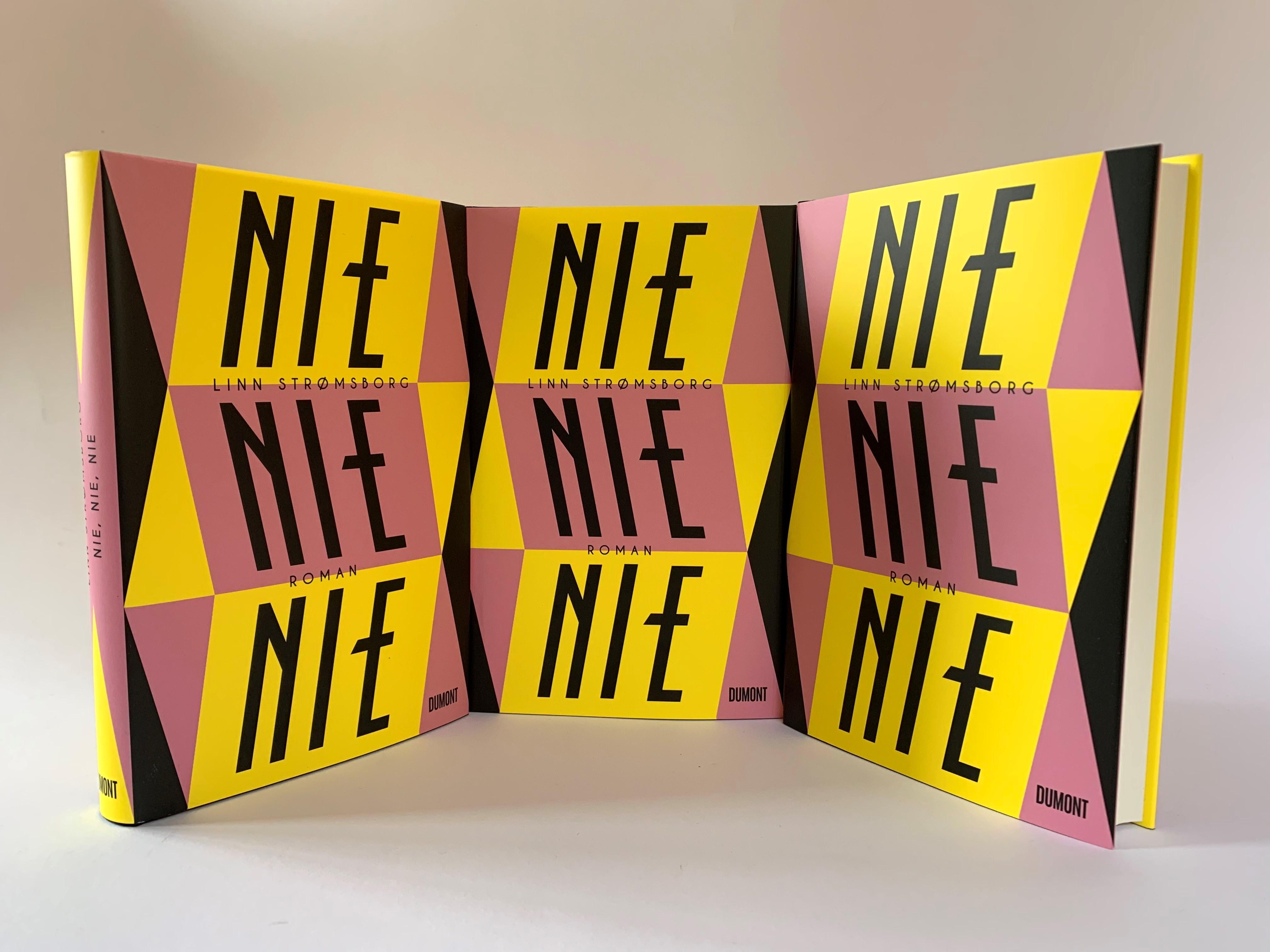 Beispielinhalt (Bild) Nie, nie, nie